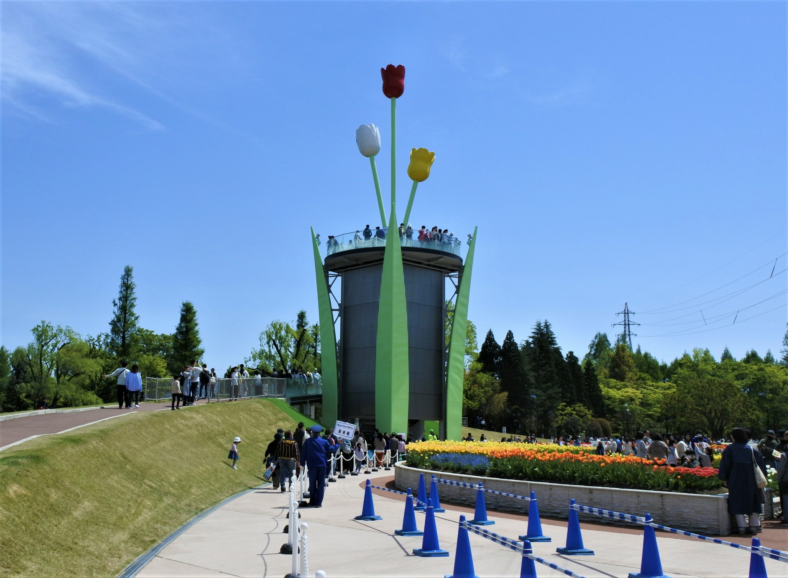 となみチューリップフェア