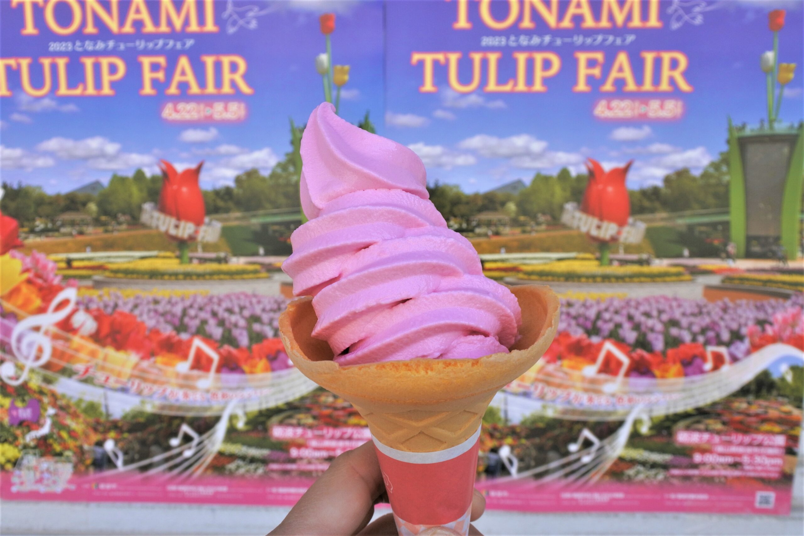 となみチューリップフェア