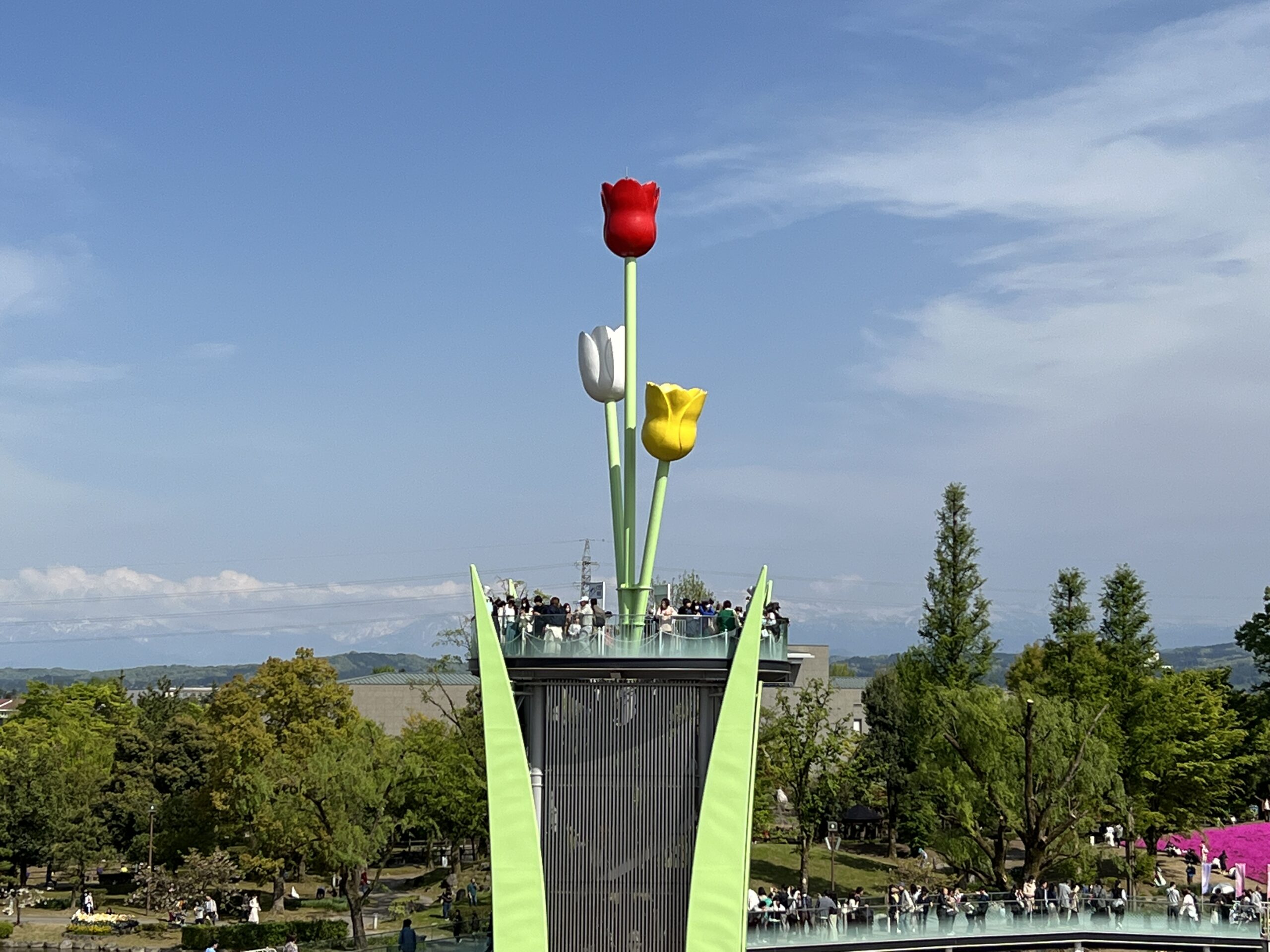 となみチューリップフェア