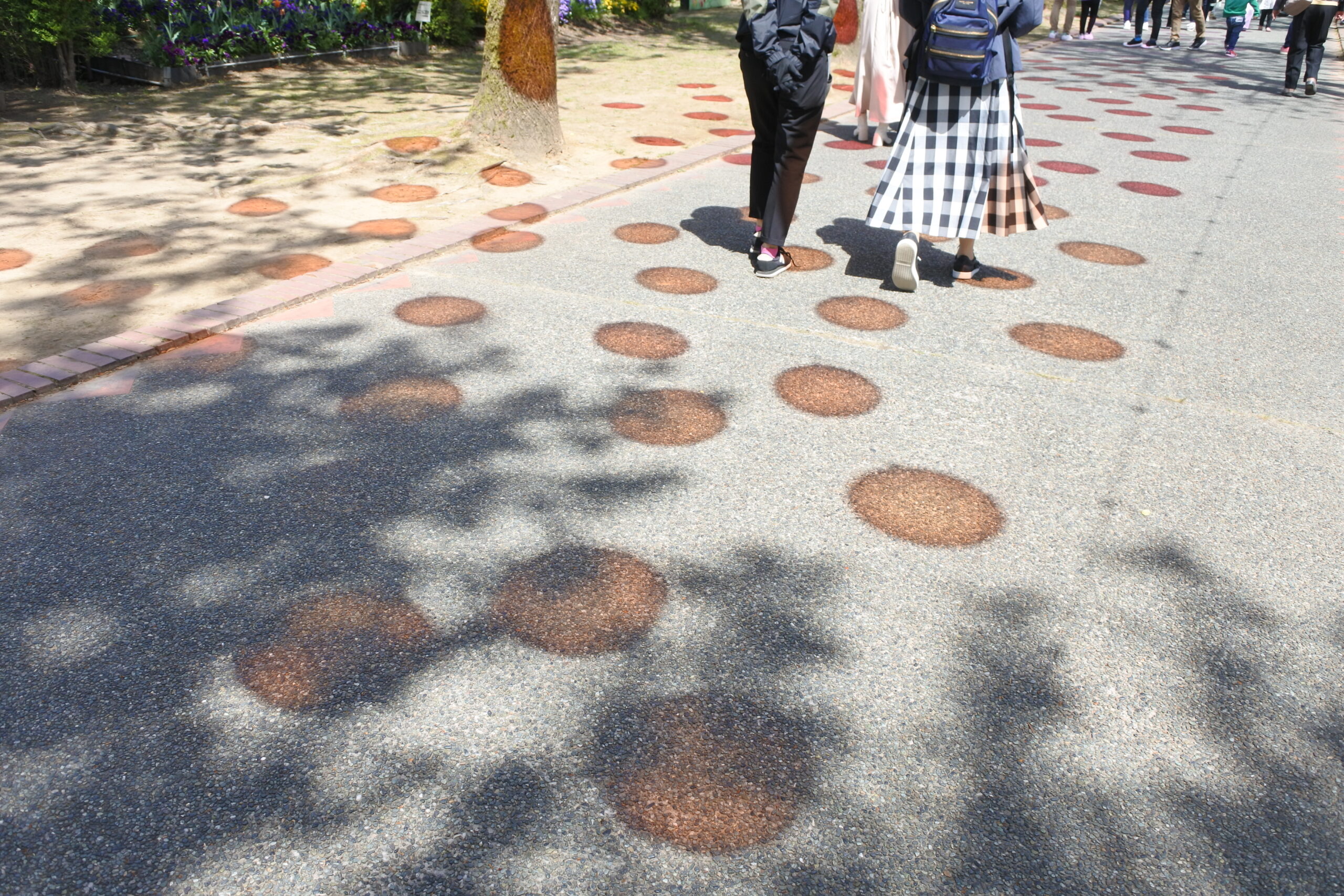 となみチューリップフェア