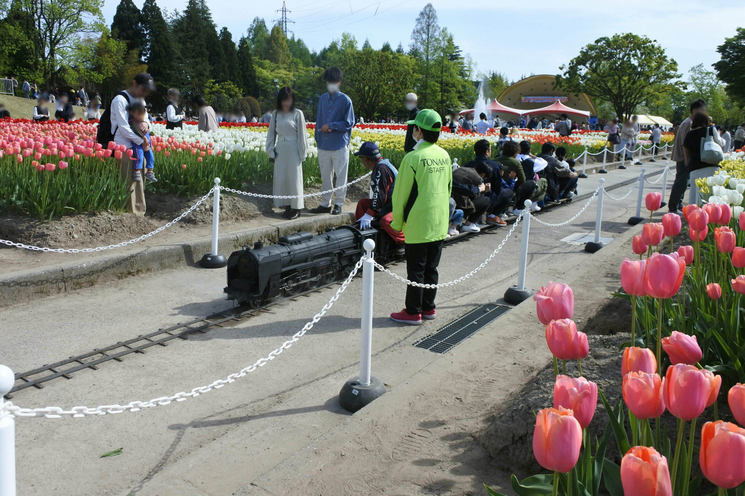となみチューリップフェア