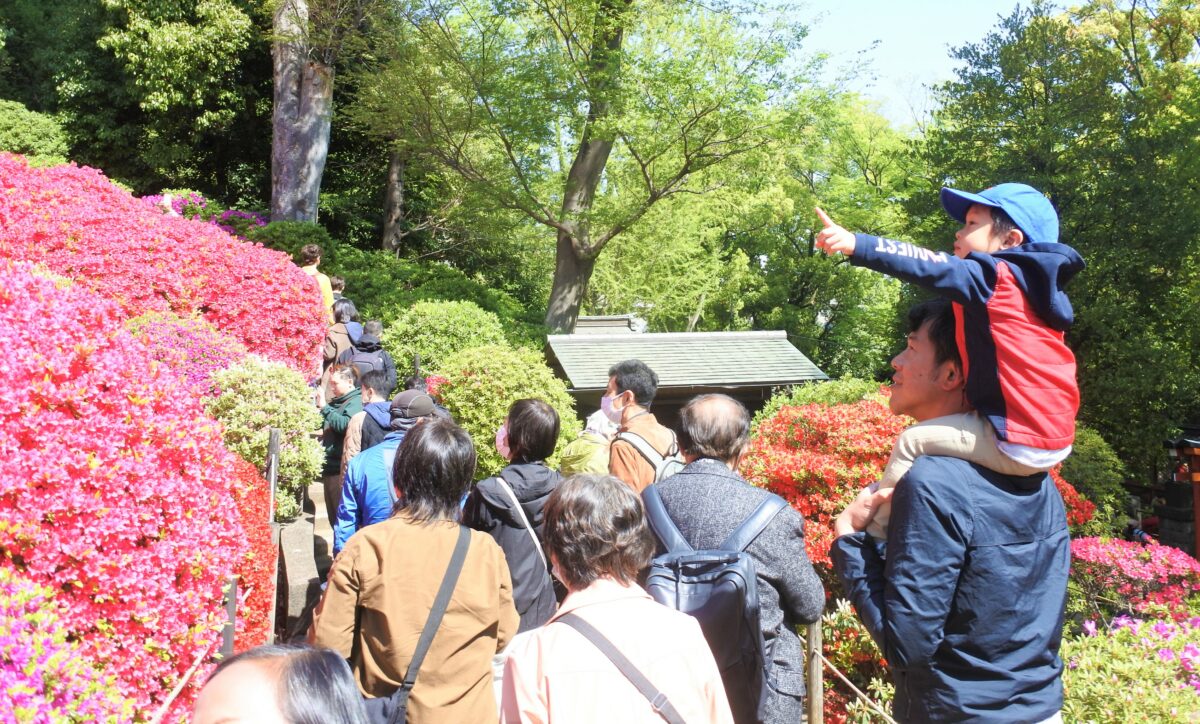 肩車の親子連れ