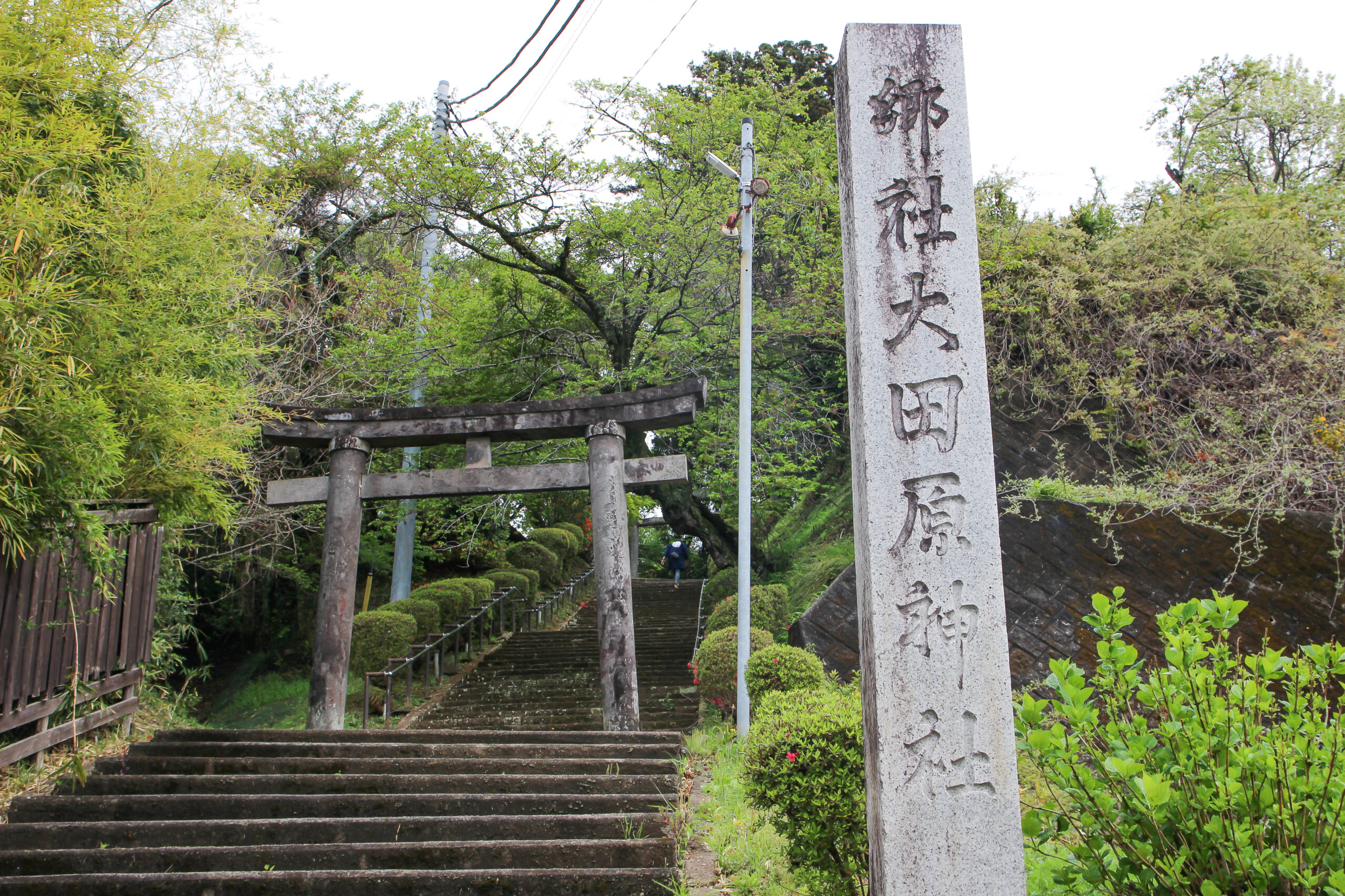 大田原屋台まつり
