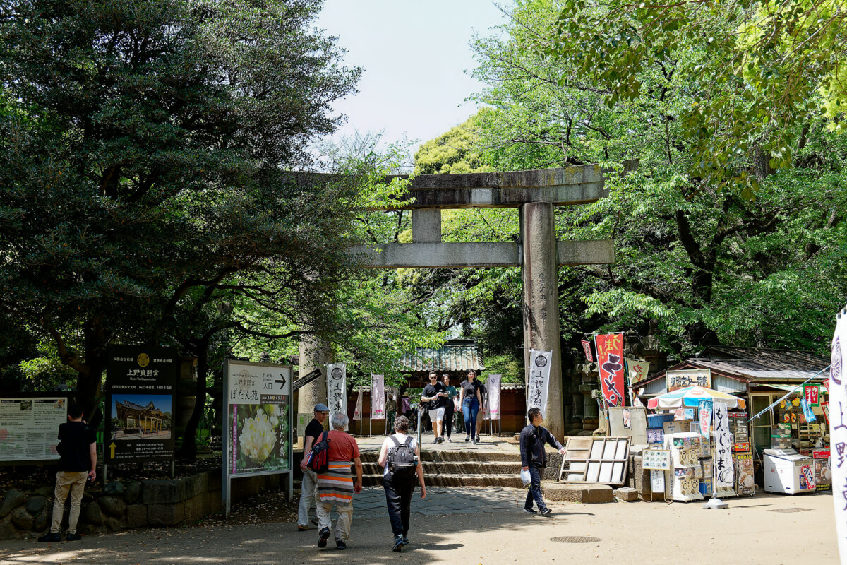 上野東照宮ぼたん苑（春のぼたん祭・2023）