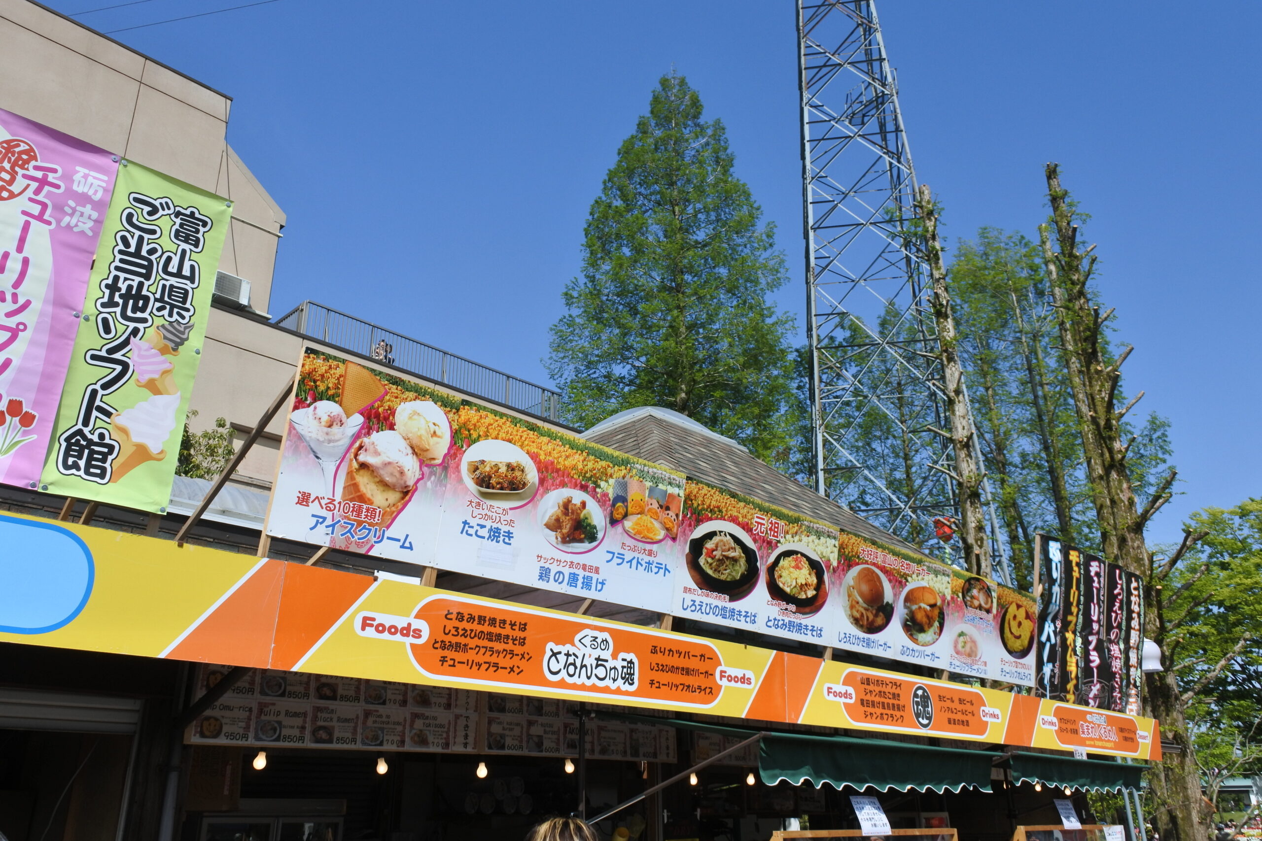 となみチューリップフェア