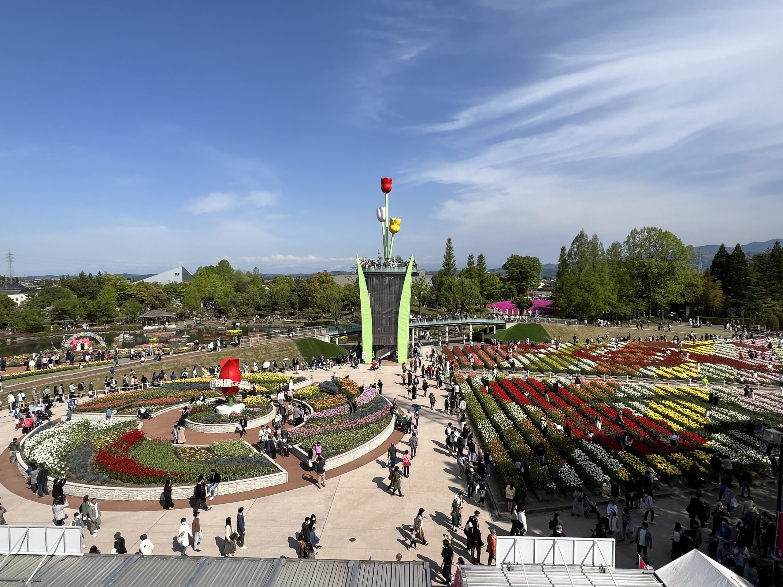 となみチューリップフェア