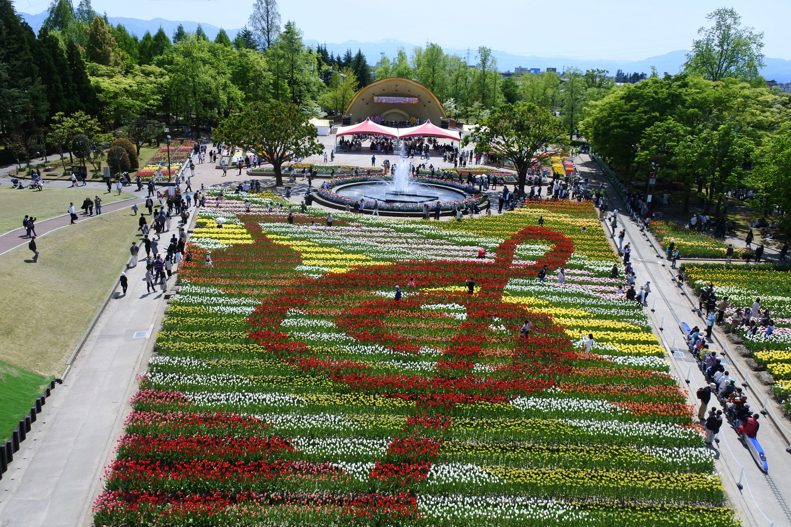 となみチューリップフェア