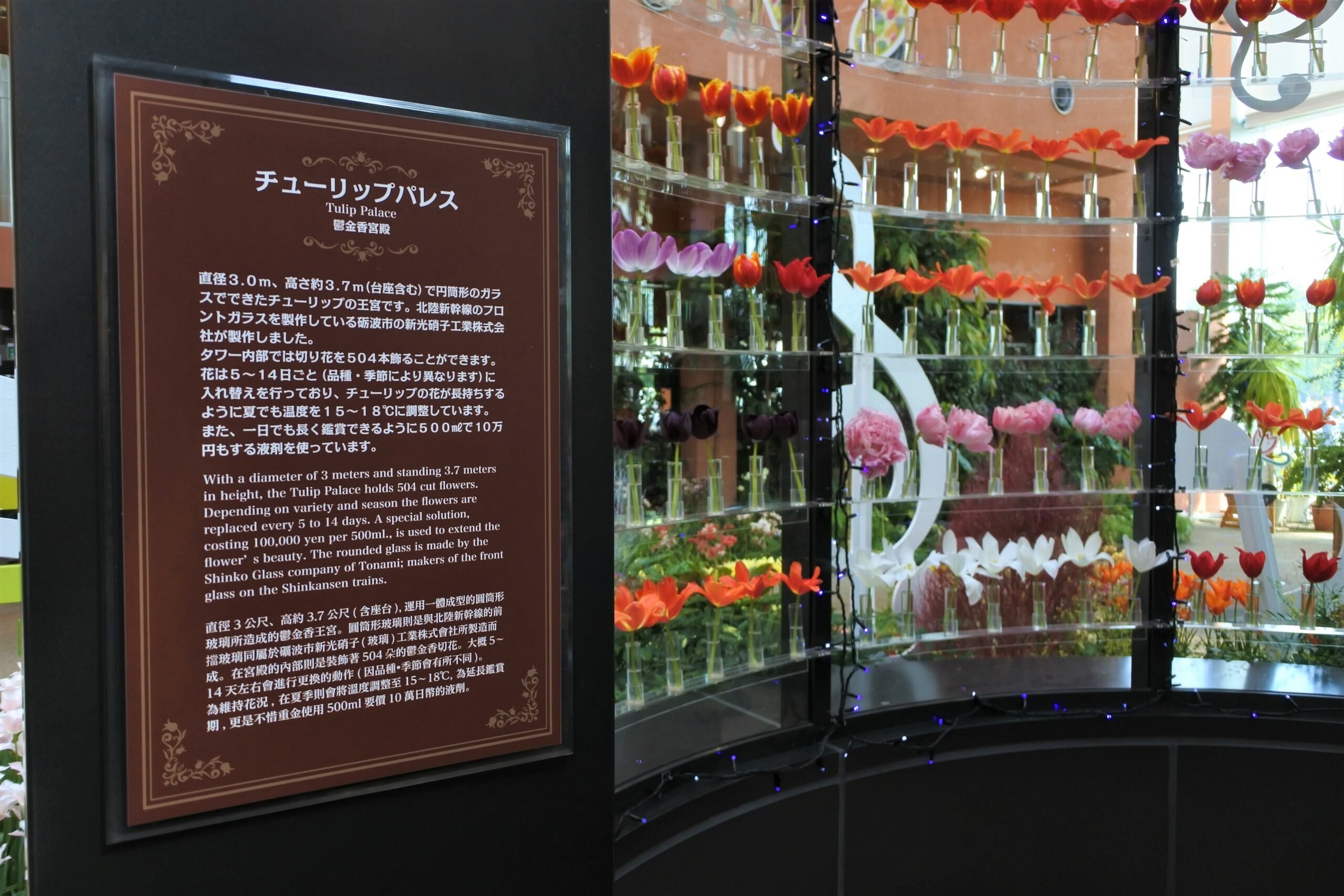 となみチューリップフェア