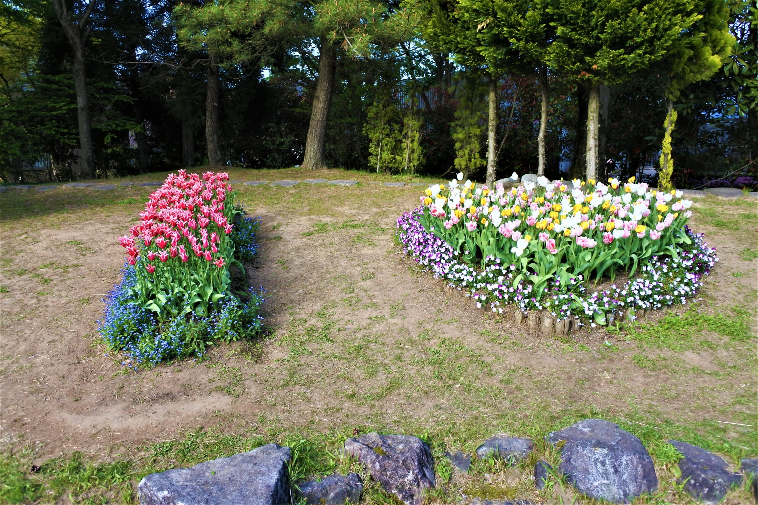 となみチューリップフェア