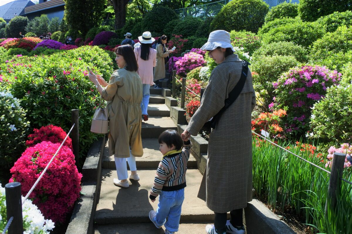 手をつなぐ親子連れ
