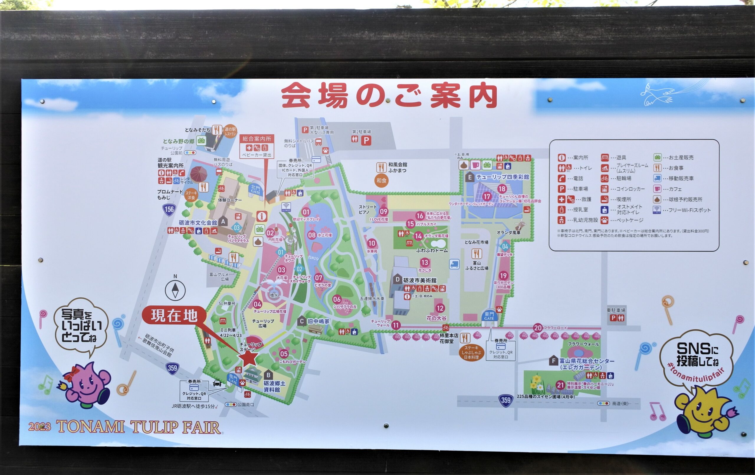 となみチューリップフェア