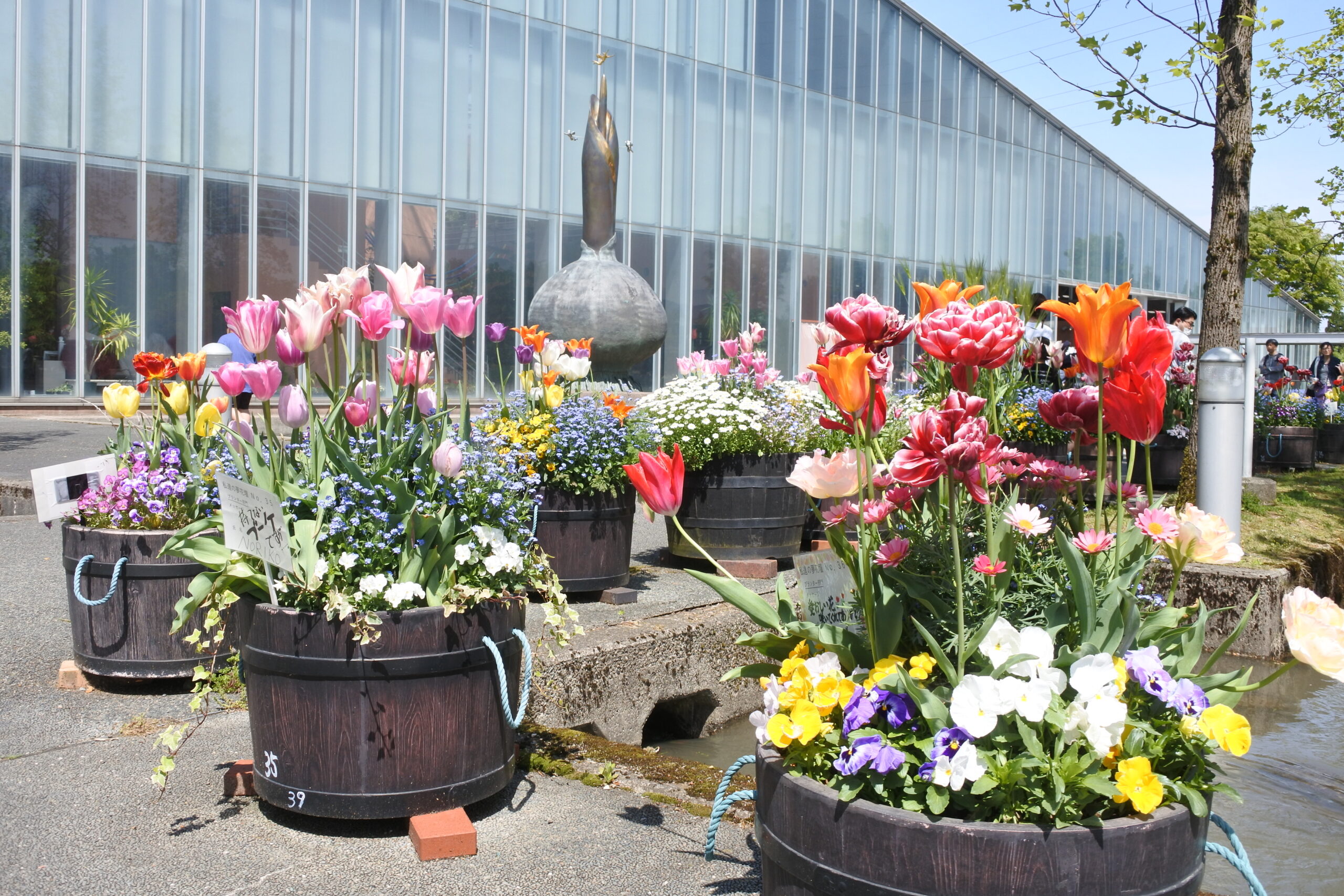 となみチューリップフェア