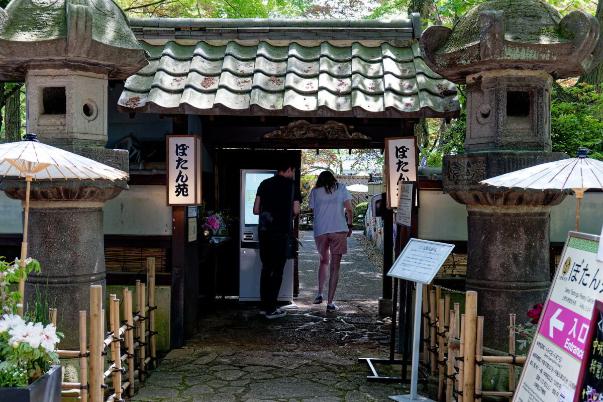 上野東照宮ぼたん苑（春のぼたん祭・2023）