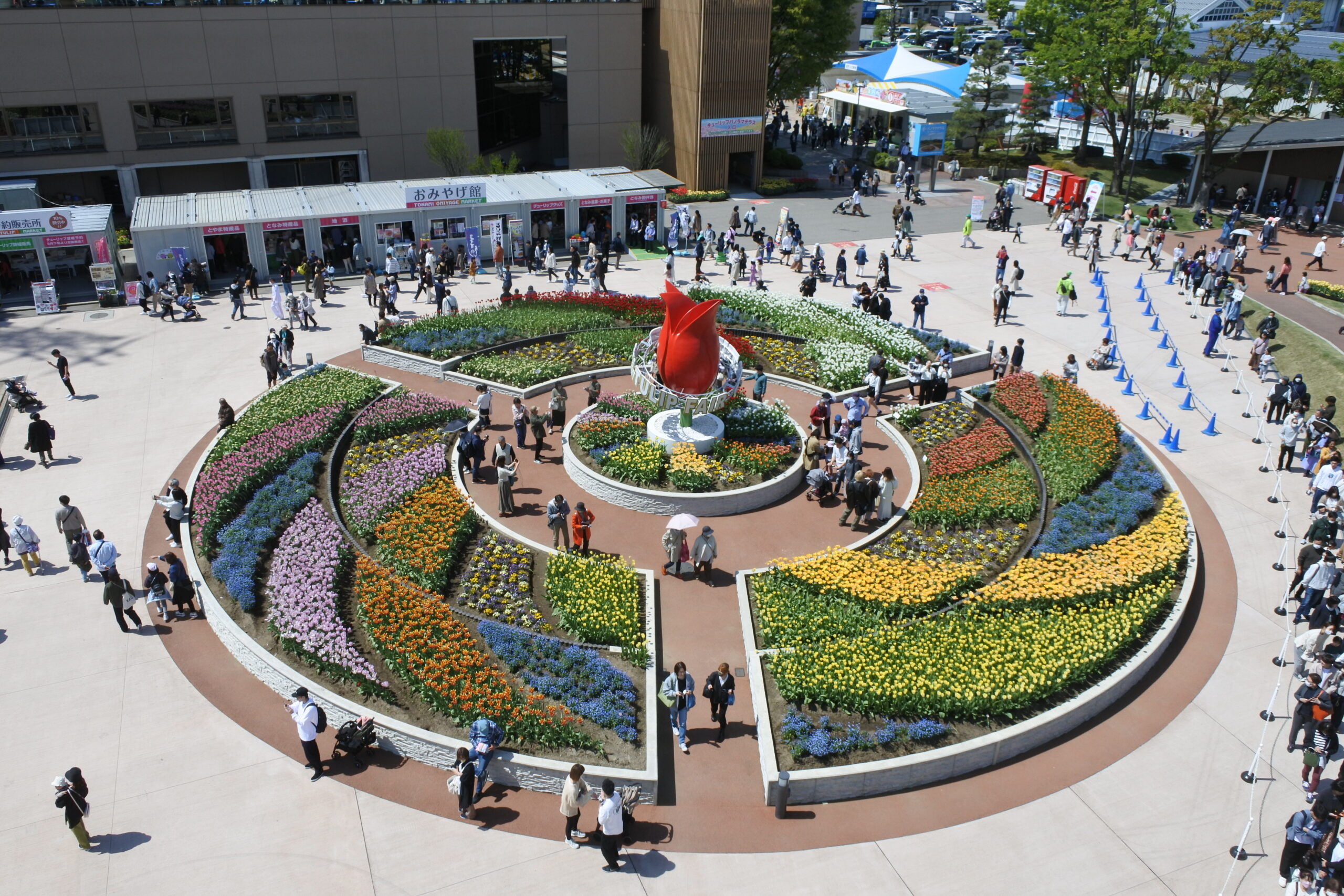 となみチューリップフェア