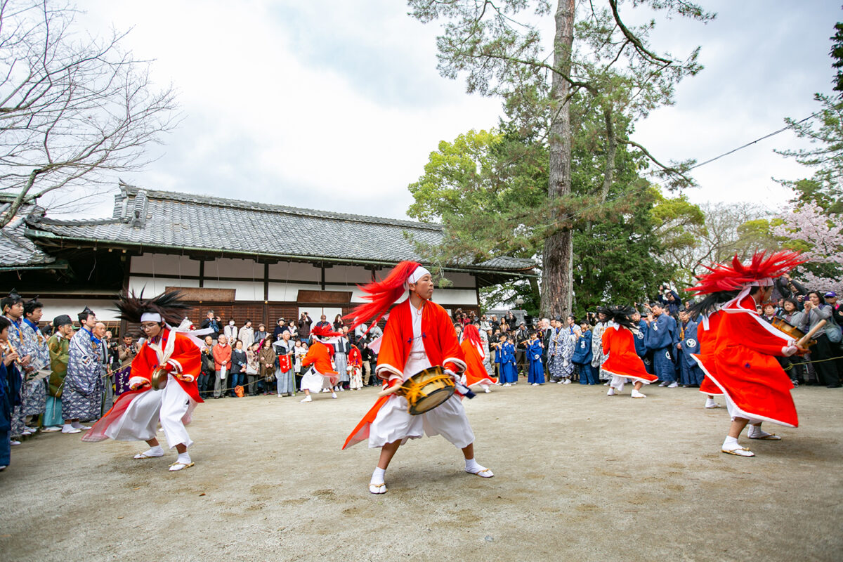 京都三大奇祭とは？いつ開催？やすらい花、火祭、牛祭って一体どんな祭り？