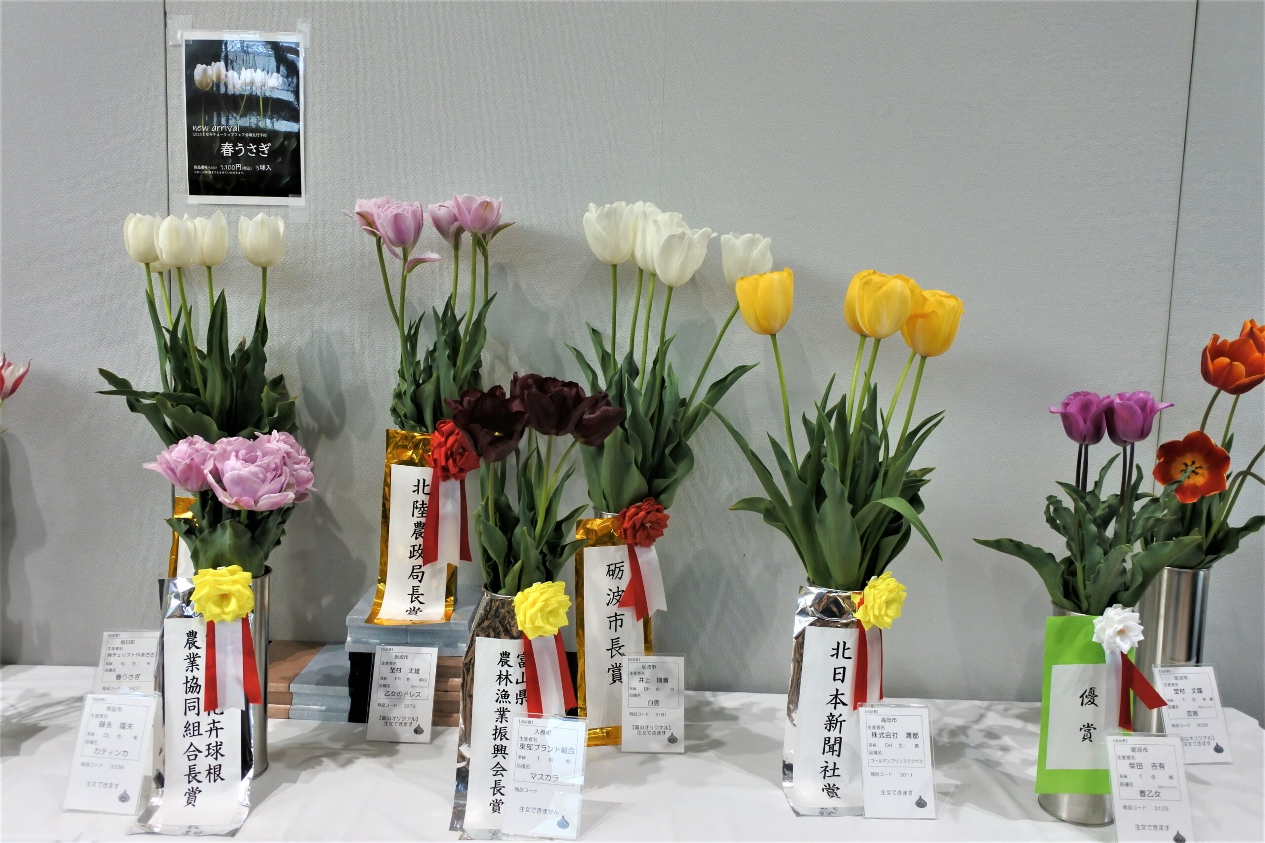 となみチューリップフェア