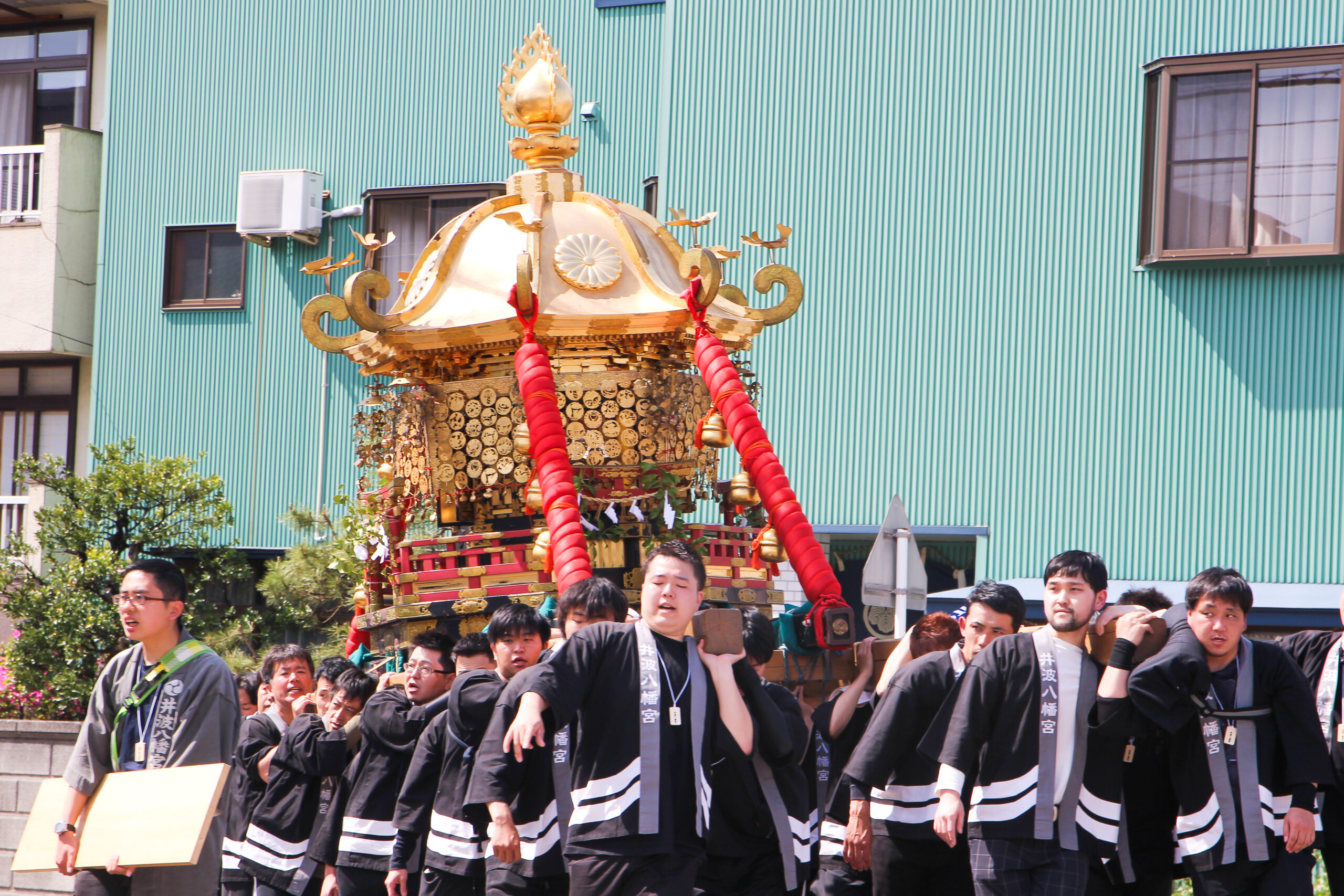 井波よいやさ祭り