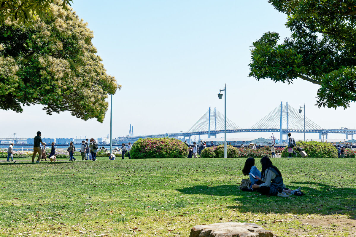 ザよこはまパレード