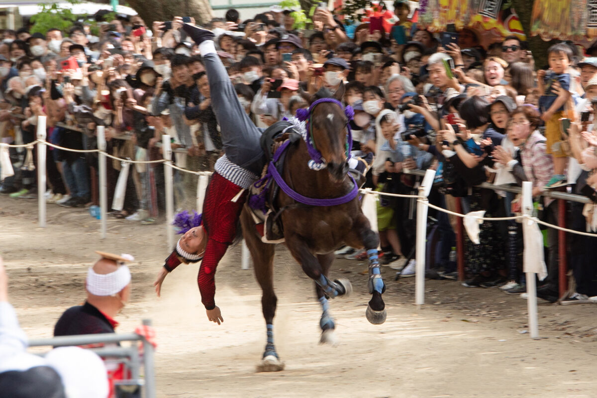 チャンスは一度！藤森神社「駈馬神事」の生死を賭けた実戦馬術の迫力がすごい！