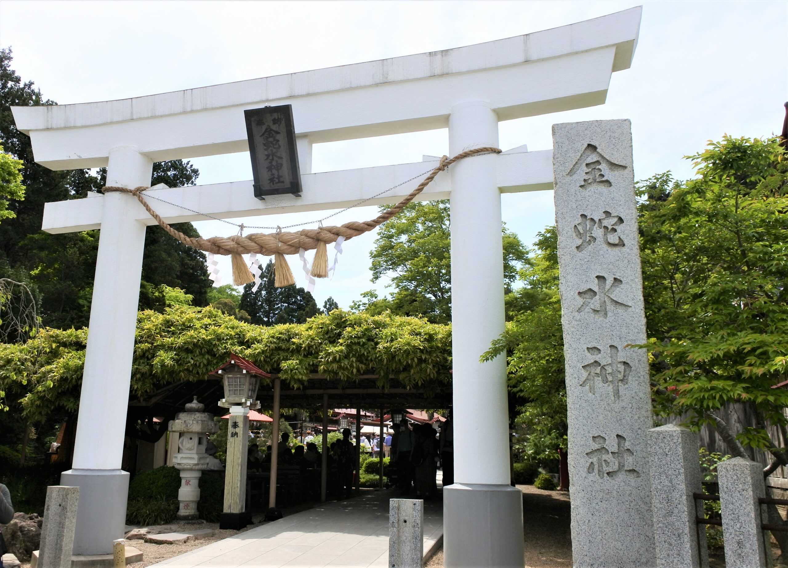 石巻市 金華山 黄金山神社 金運上昇 リング 指輪 - アクセサリー