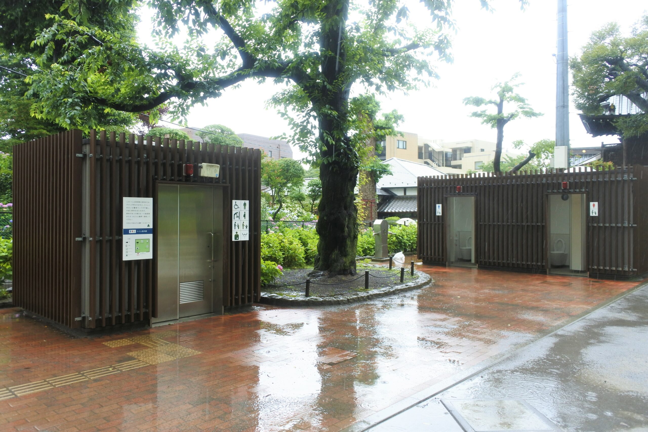 文京あじさいまつり