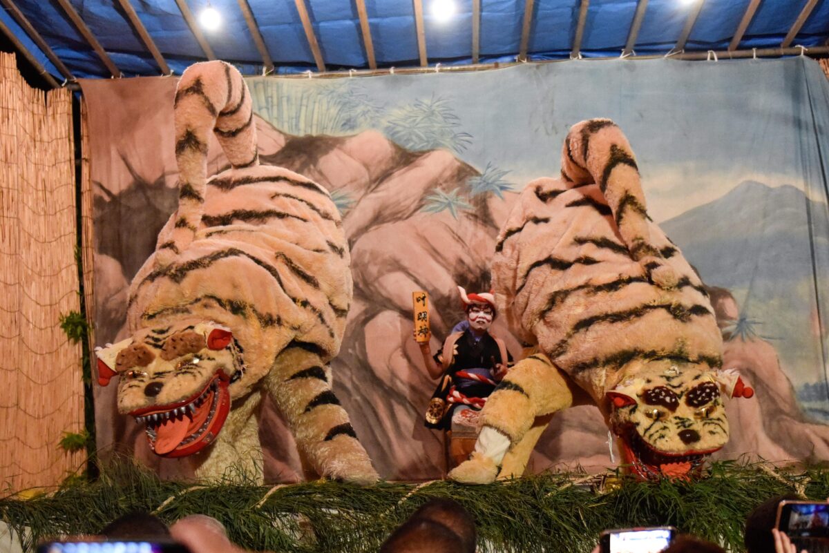 鋭い歯、ギラギラ！一見かわいらしい虎がド迫力で踊る！横須賀市の虎踊り