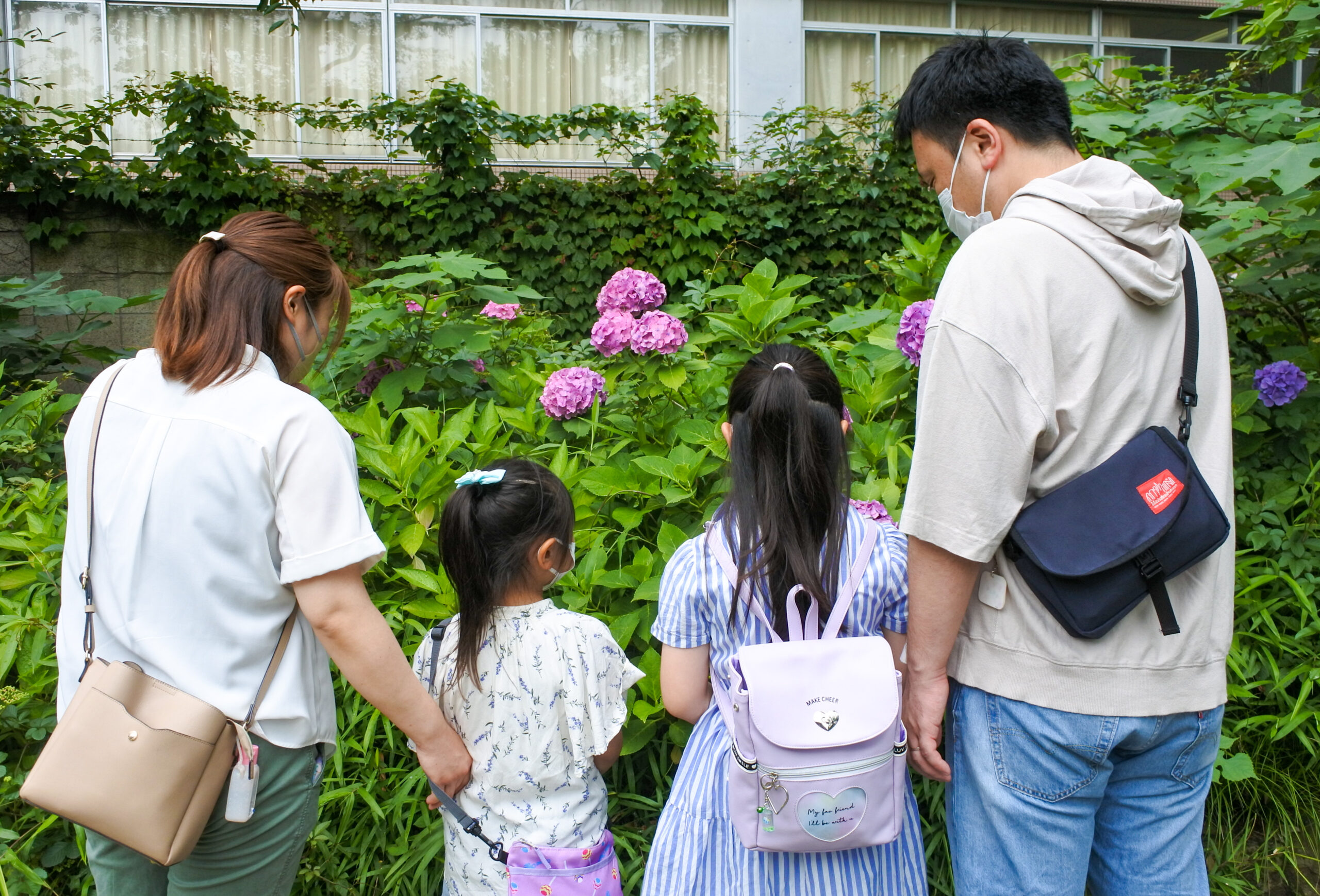 文京あじさいまつり　家族の様子