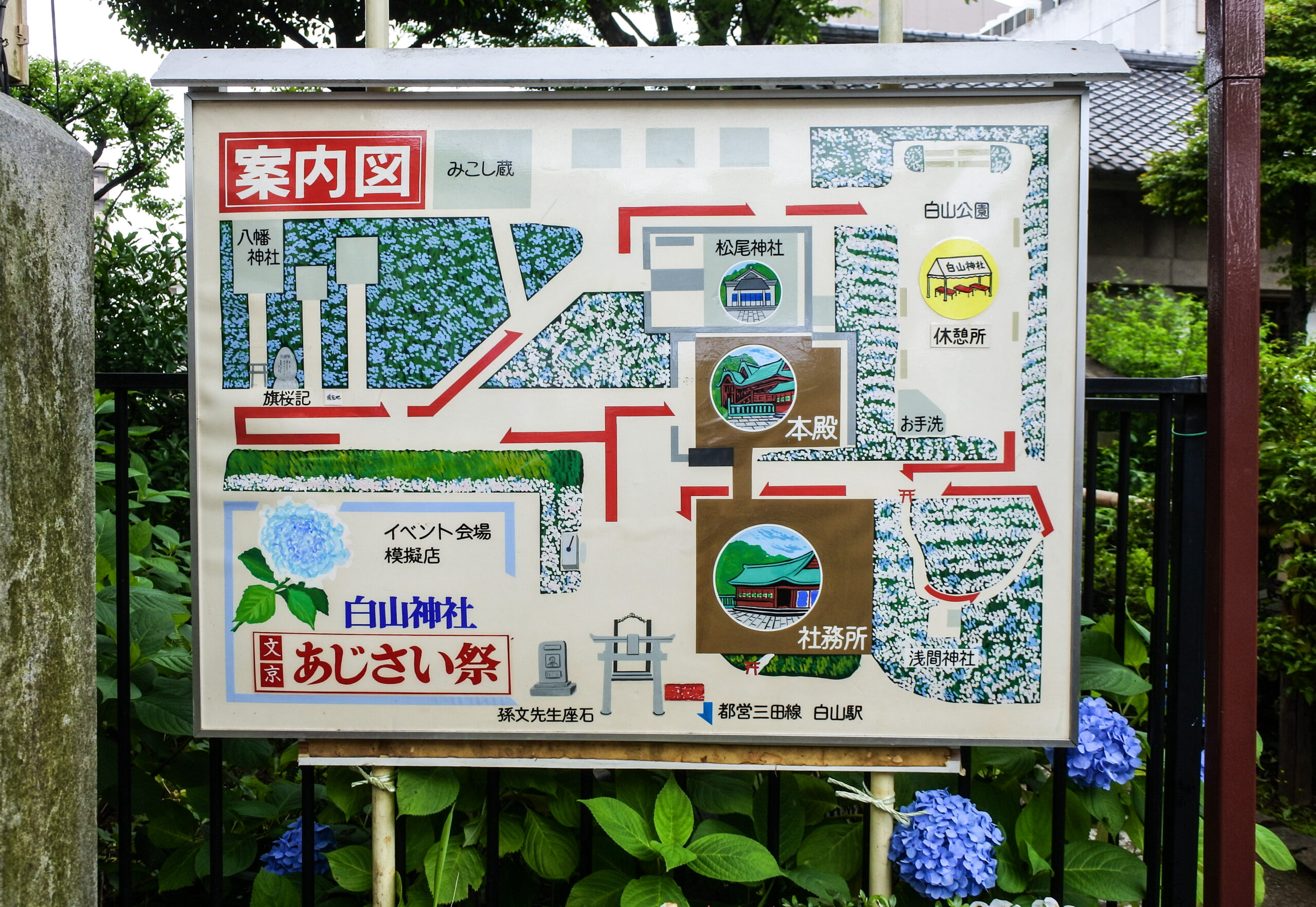 文京あじさいまつり　案内図