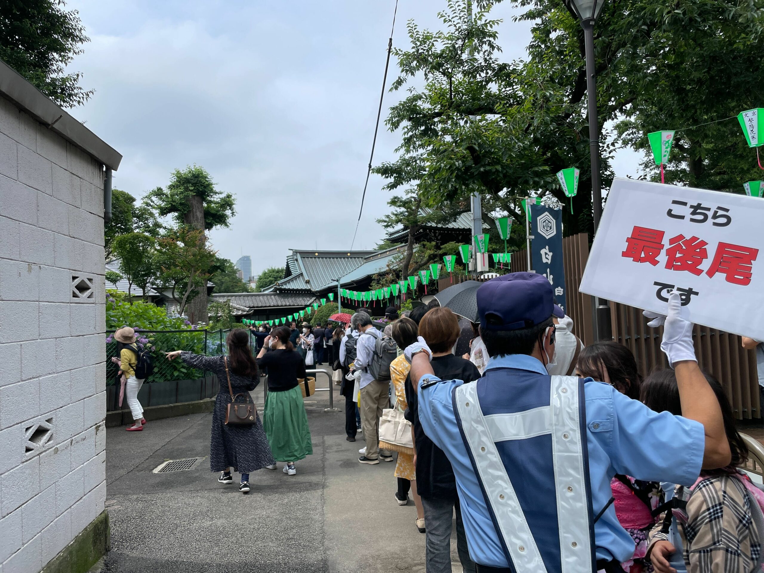 文京あじさいまつり　富士塚の様子