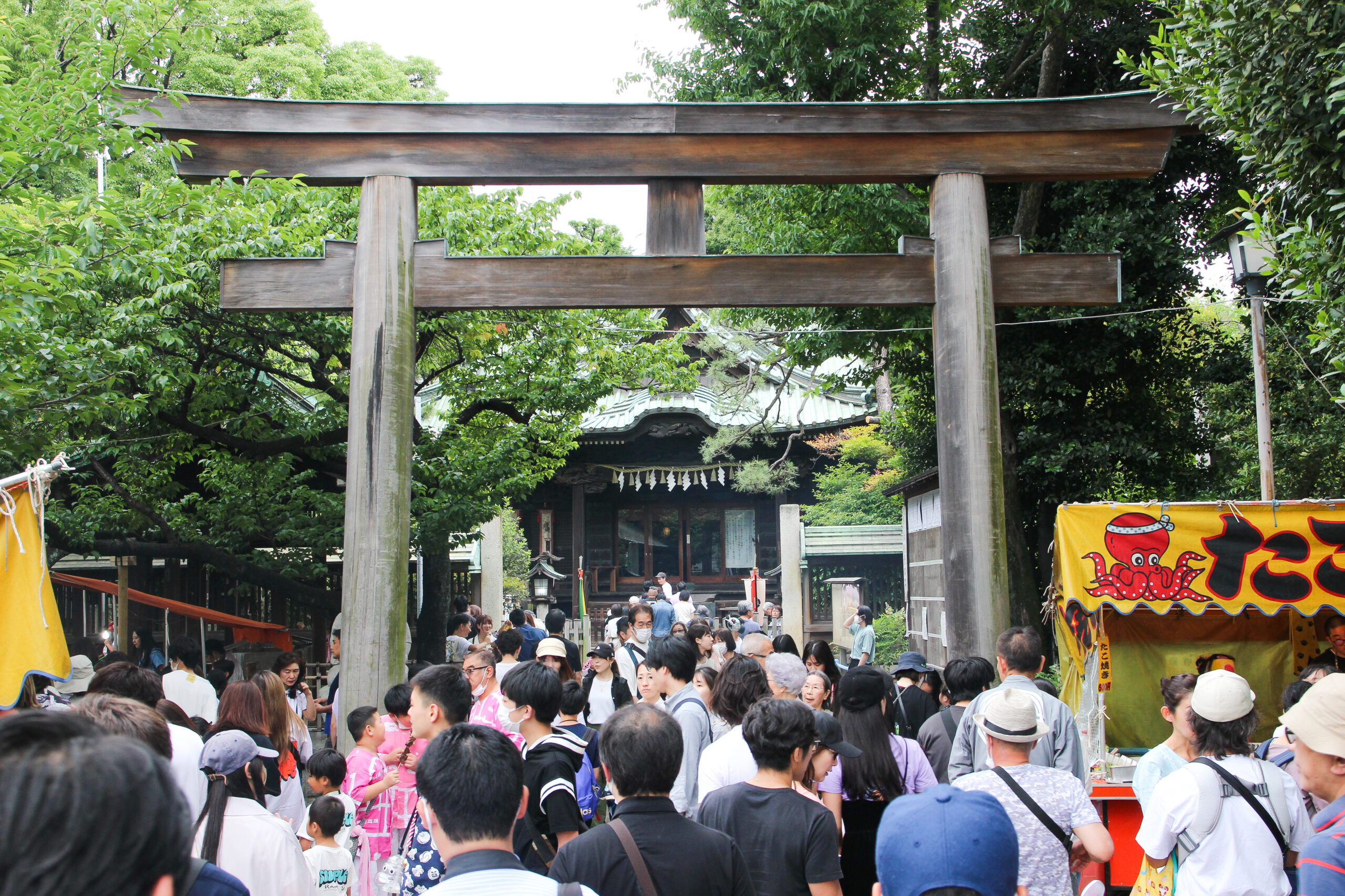 荏原神社天王祭で4年ぶりに練り歩くお神輿！城南担ぎが品川宿を盛り上げる｜株式会社オマツリジャパン