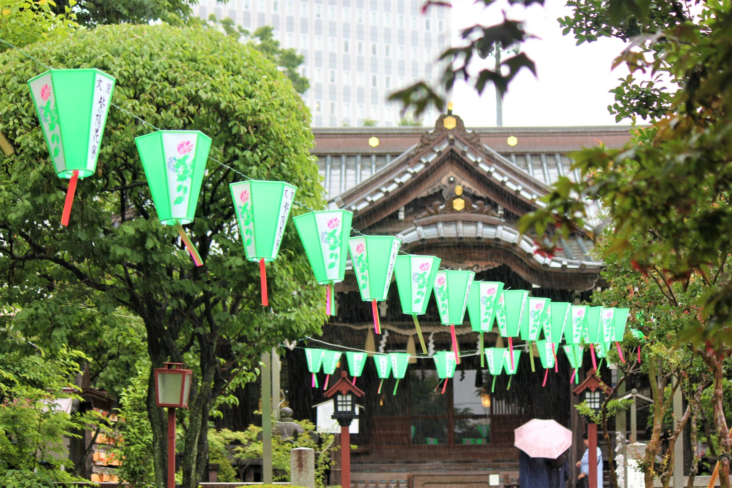 文京あじさいまつり