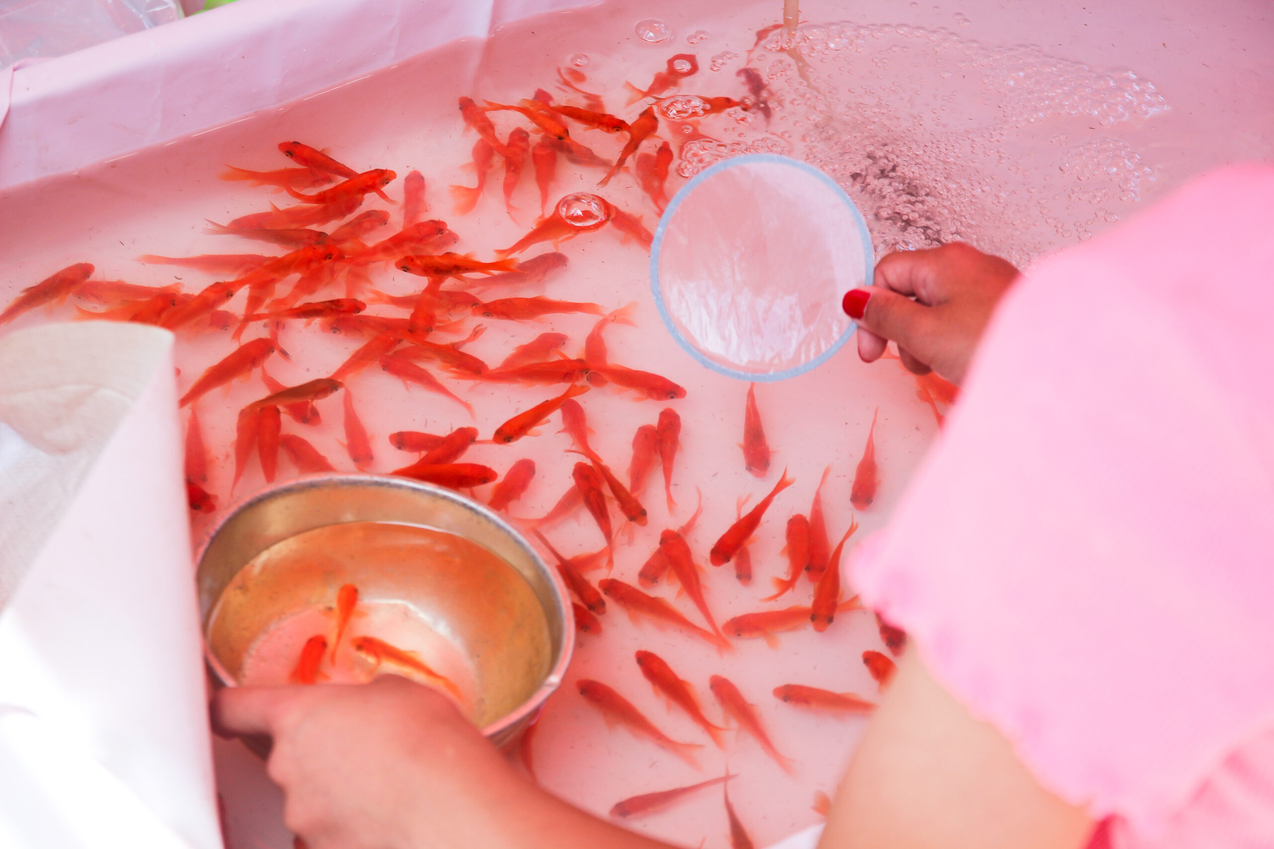 品川神社例大祭