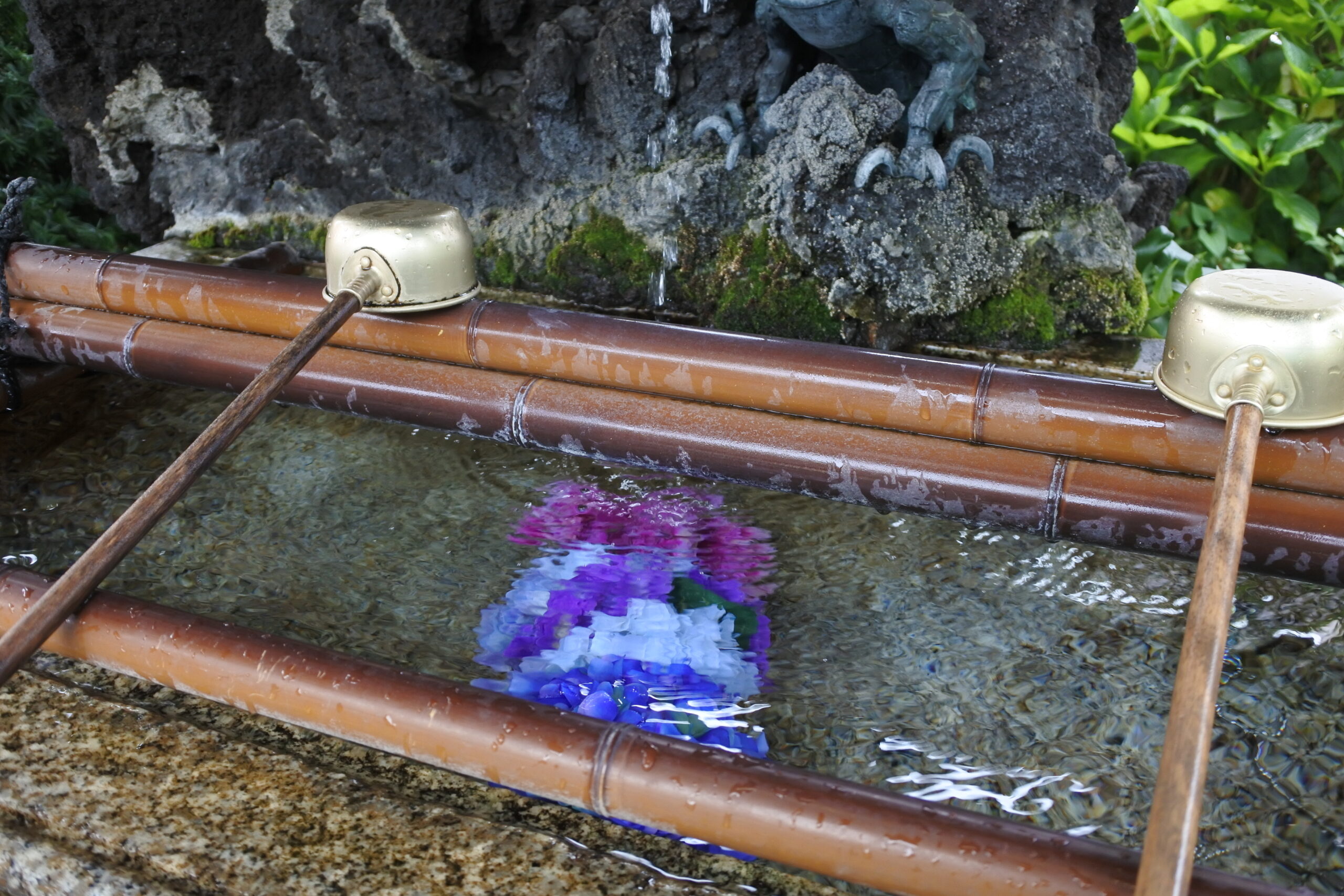 文京あじさいまつりのあじさい