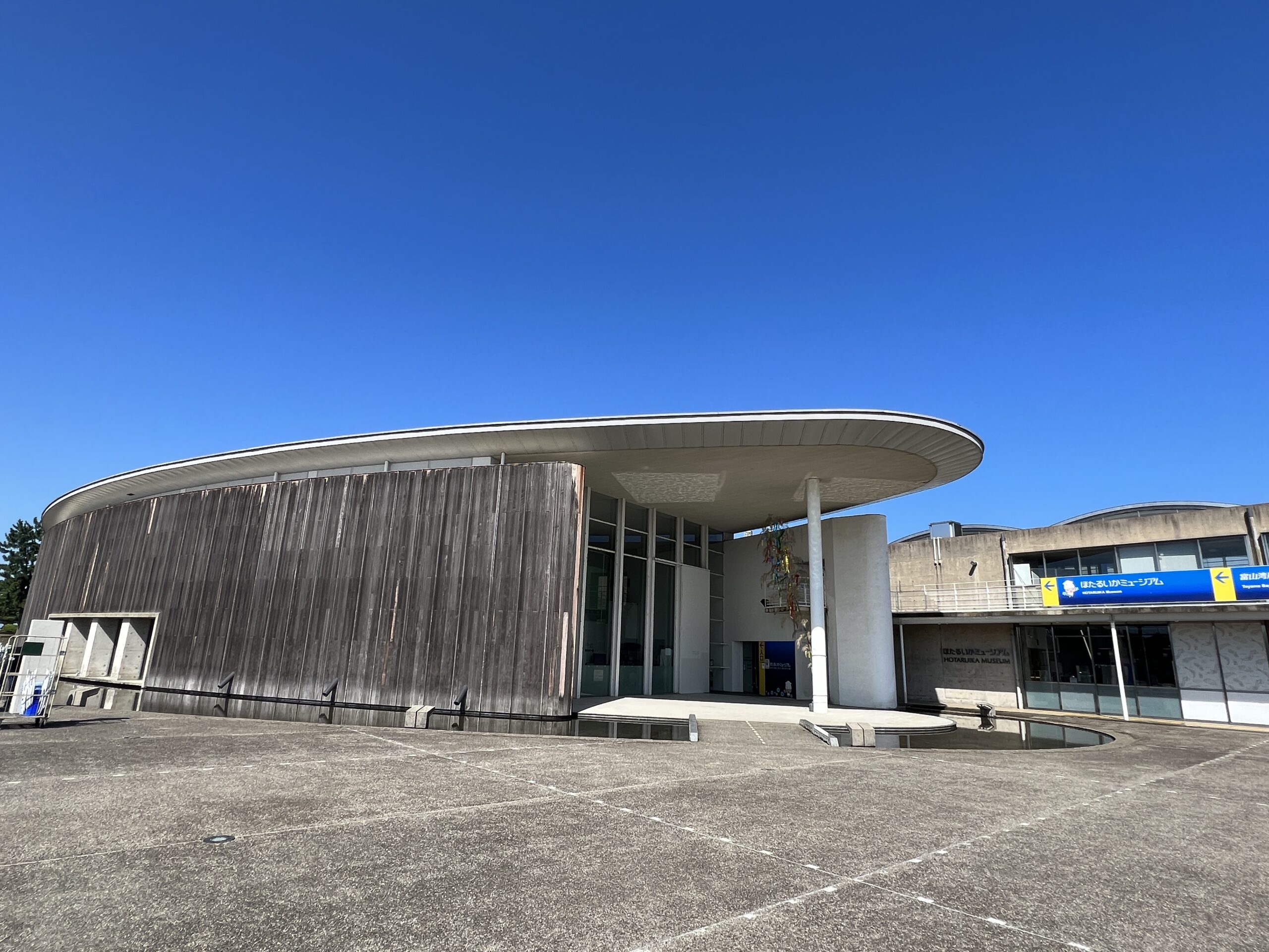 ふるさと龍宮まつり