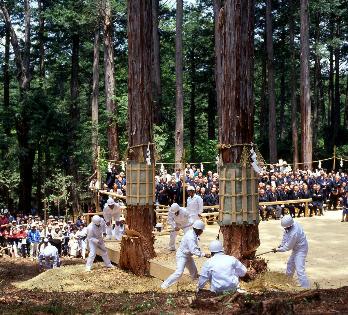 20年に1度、世紀の大祭！伊勢神宮に奉納される御神木を盛大に祝う「御神木祭」。そこに関わる人々の想いとは？＜長野県上松町＞｜株式会社オマツリジャパン