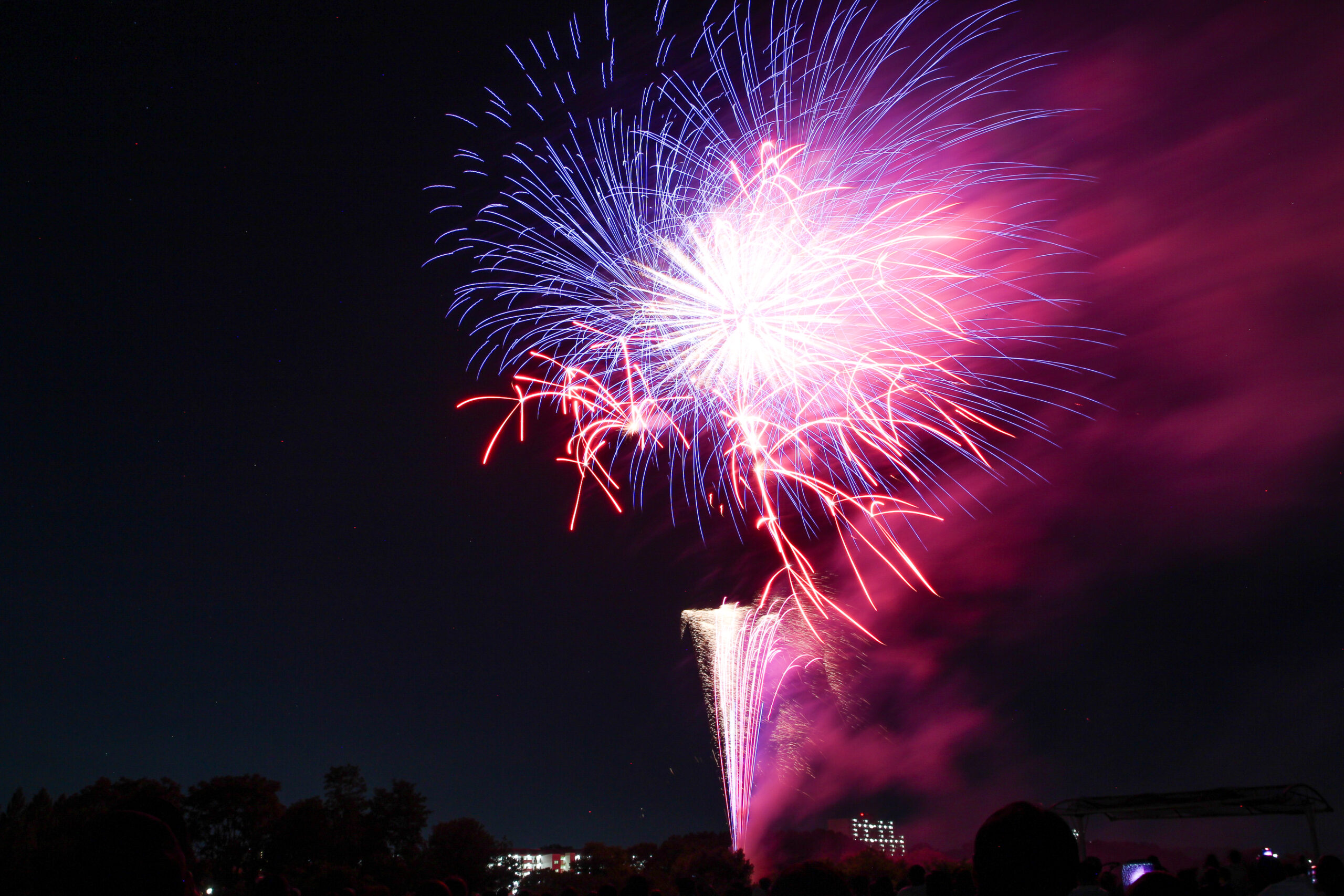 入間川七夕まつり