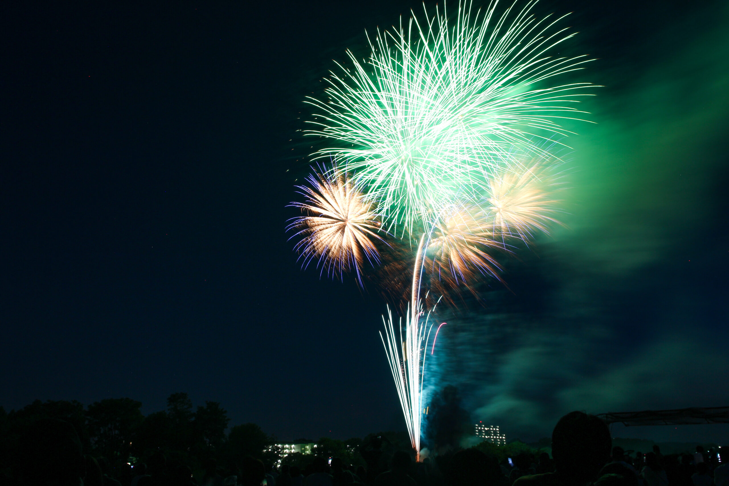 入間川七夕まつり