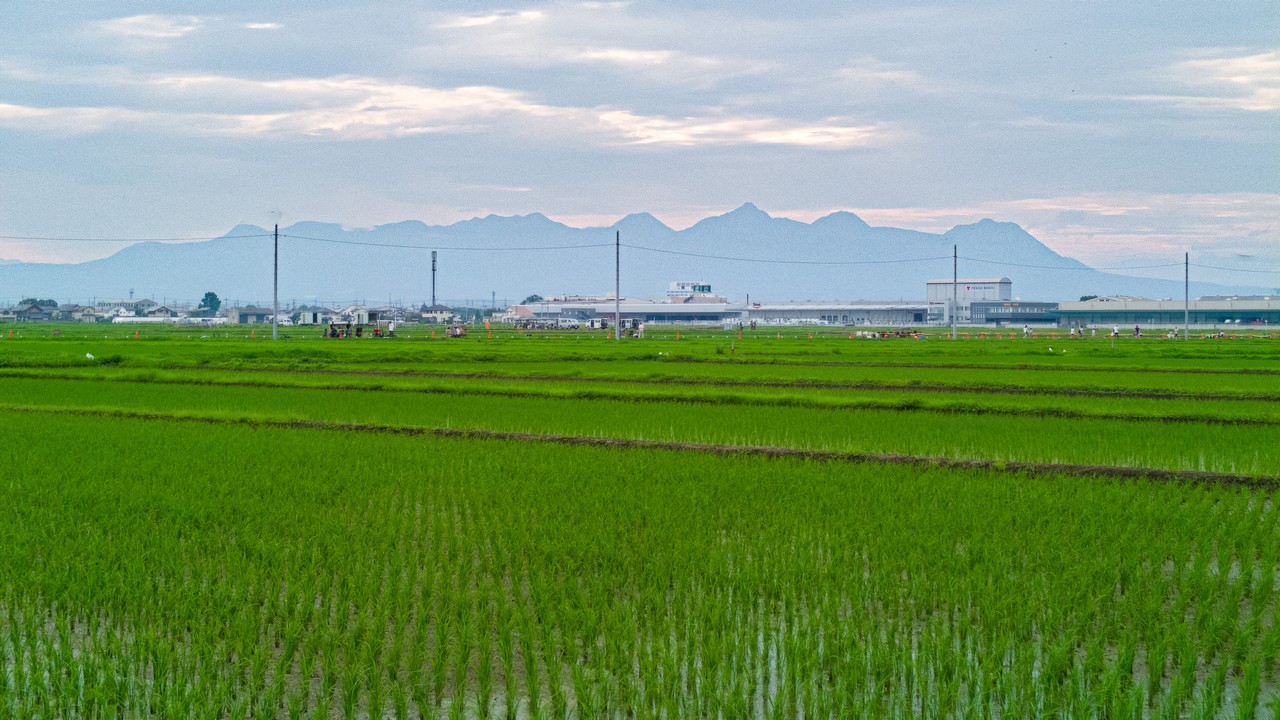 榛名連峰をのぞむ田園風景
