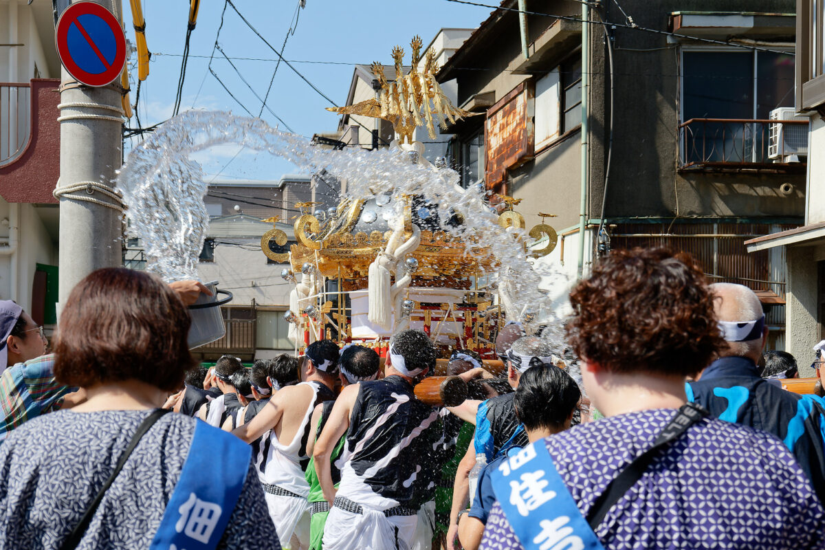 3年に1度の本祭り！新旧が交差する舞台で繰り広げられる「東京佃・住吉神社」の例祭をレポート