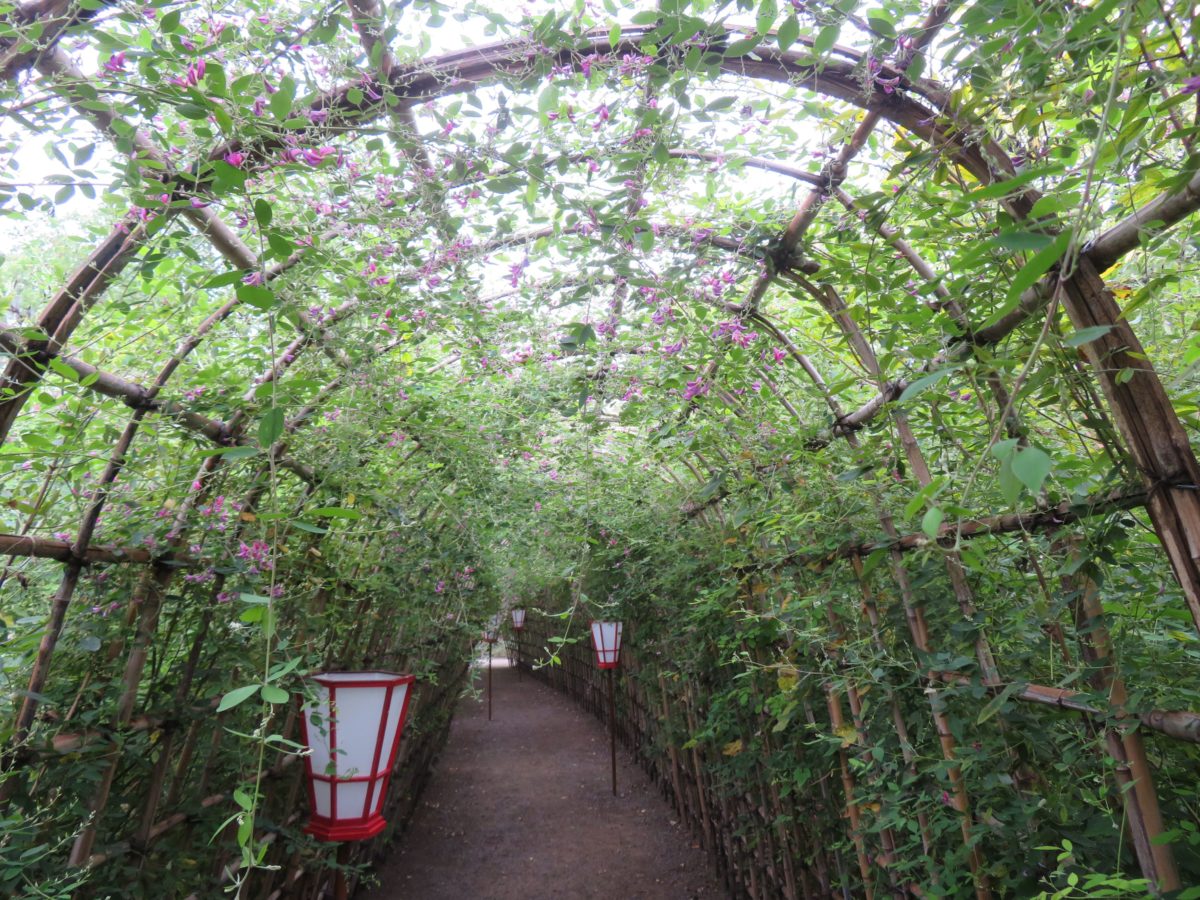 向島百花園・萩まつり