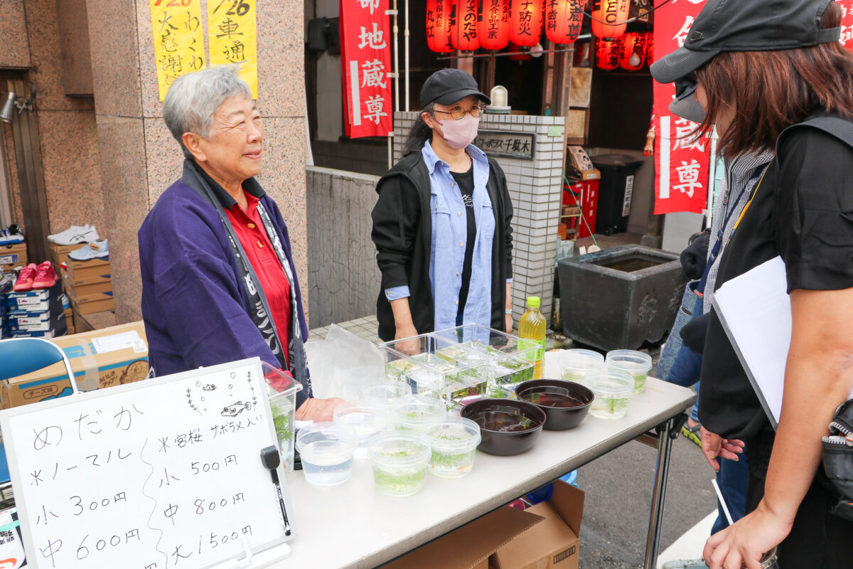 根津・千駄木下町まつり