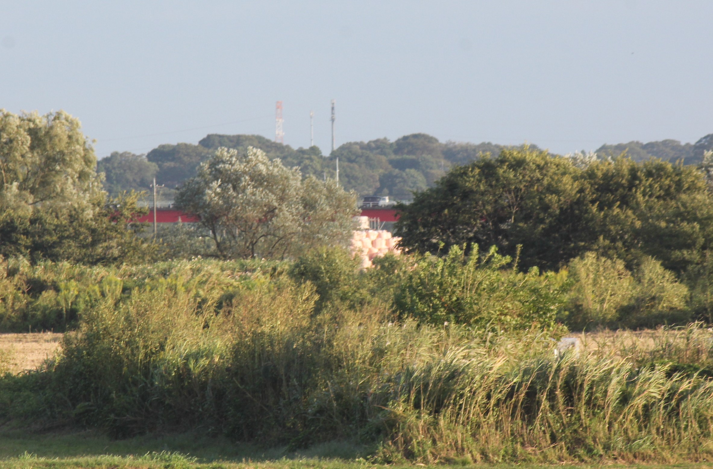 こうのす花火大会