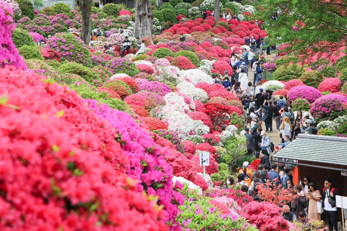 根津神社