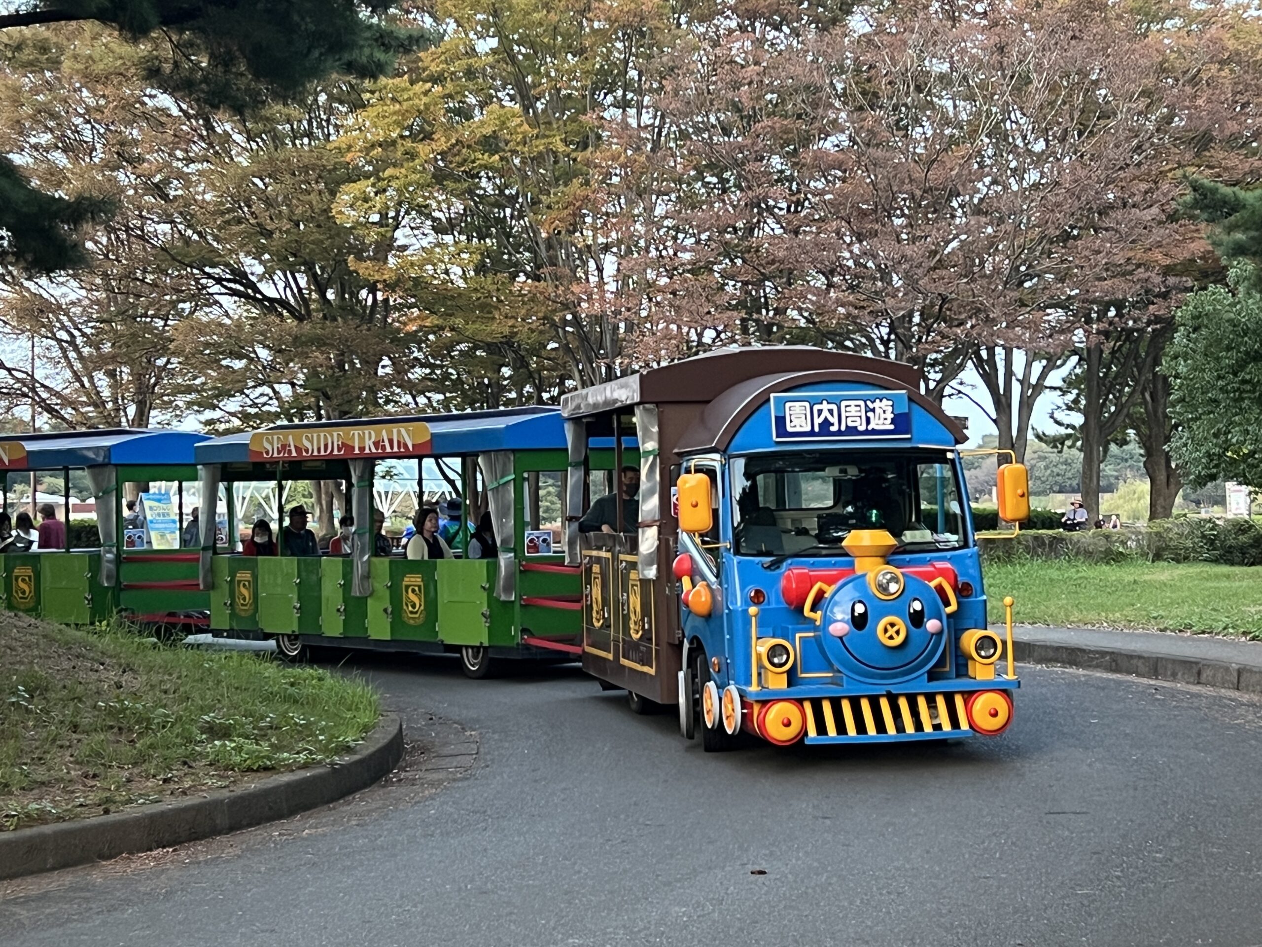 国営ひたち海浜公園