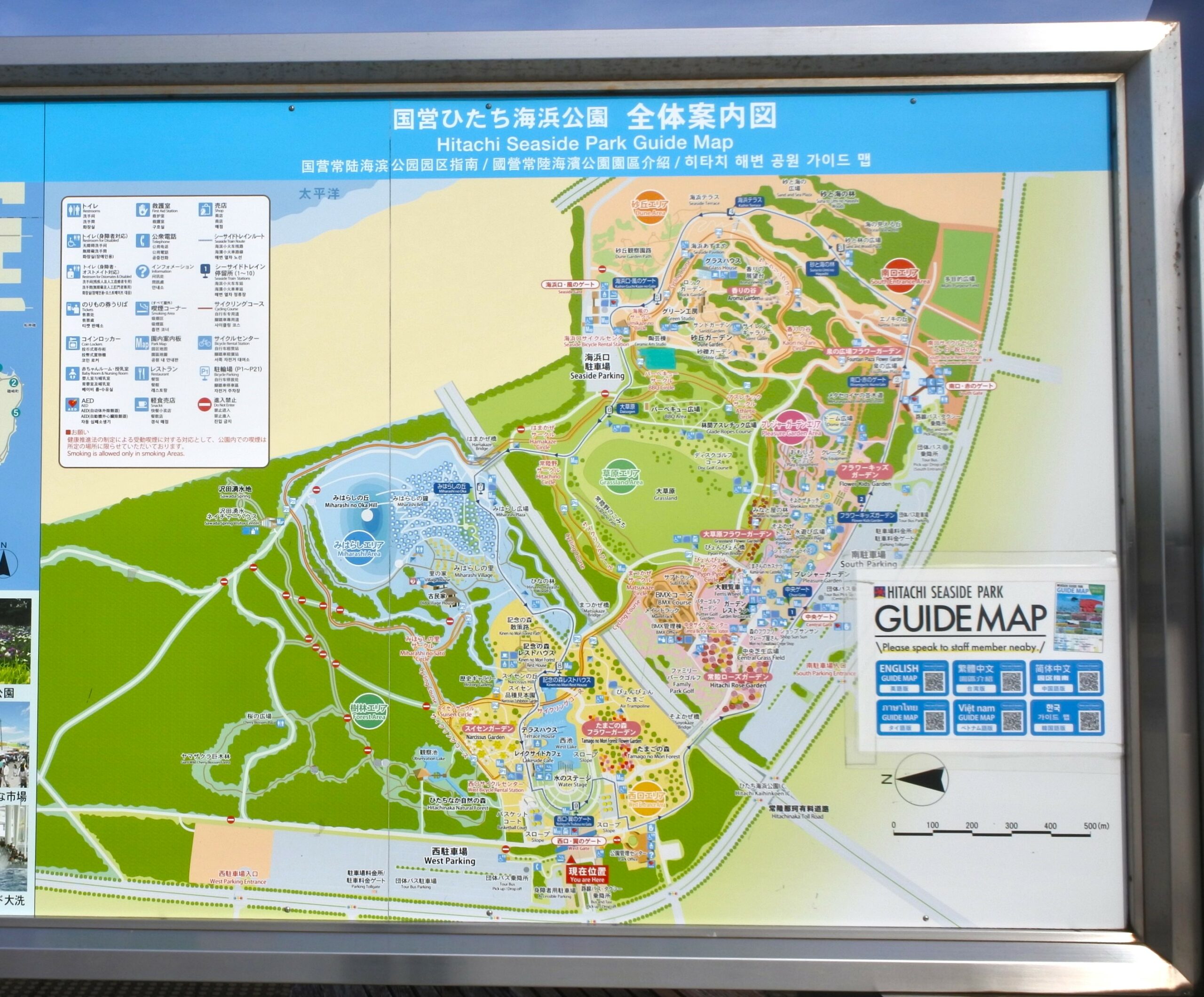 国営ひたち海浜公園