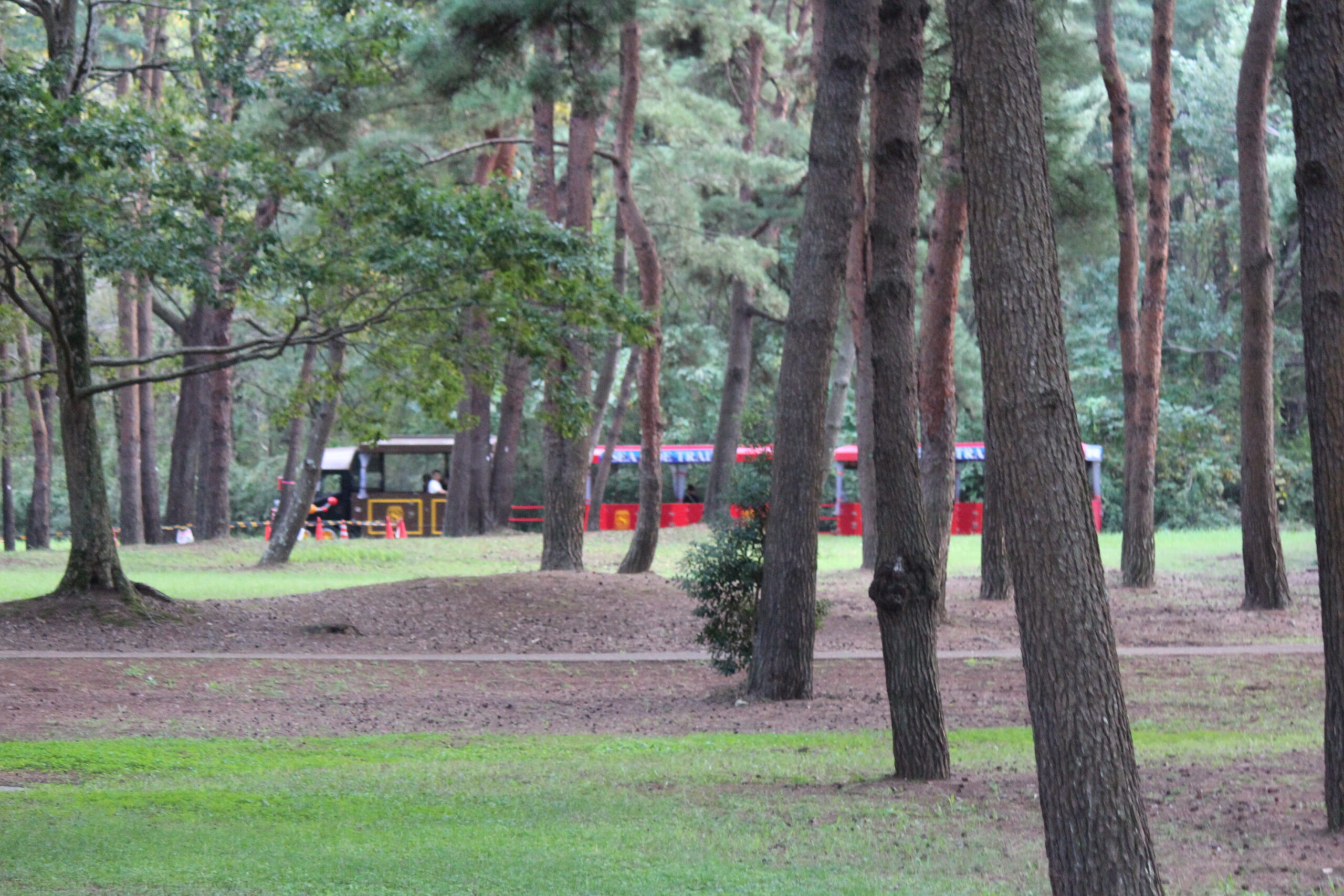 国営ひたち海浜公園