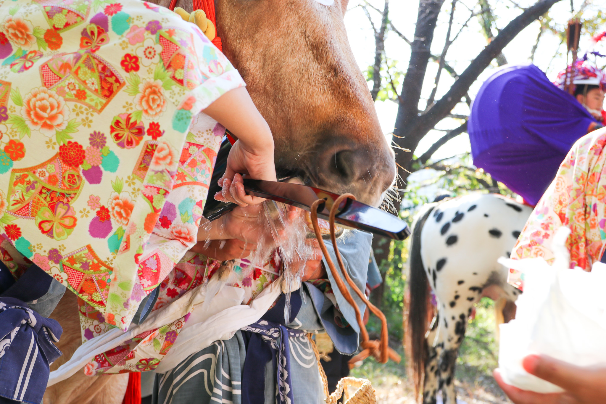 出雲伊波比神社の流鏑馬