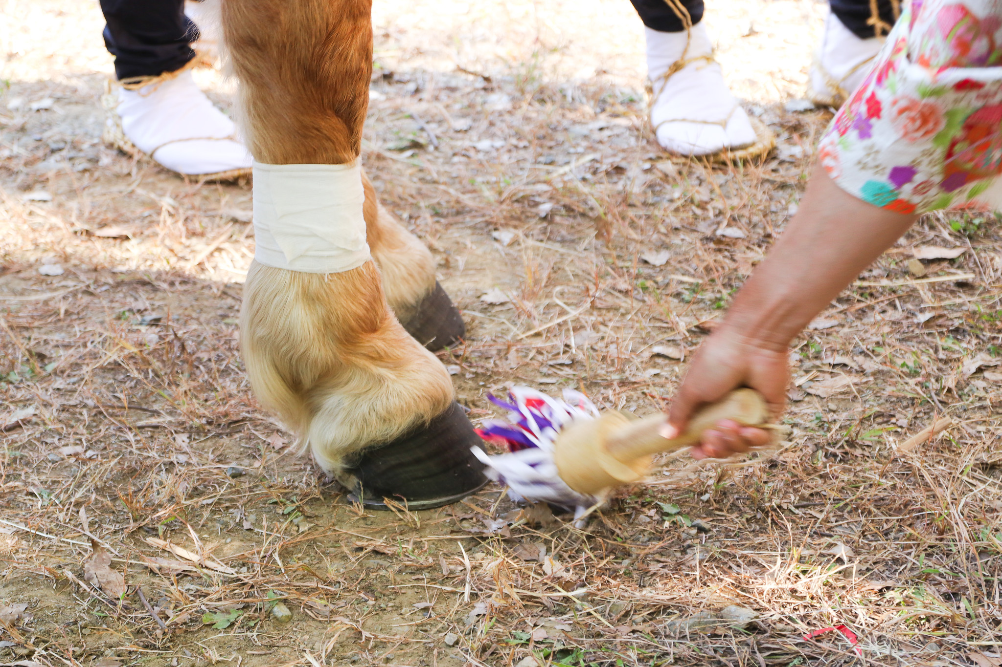 出雲伊波比神社の流鏑馬