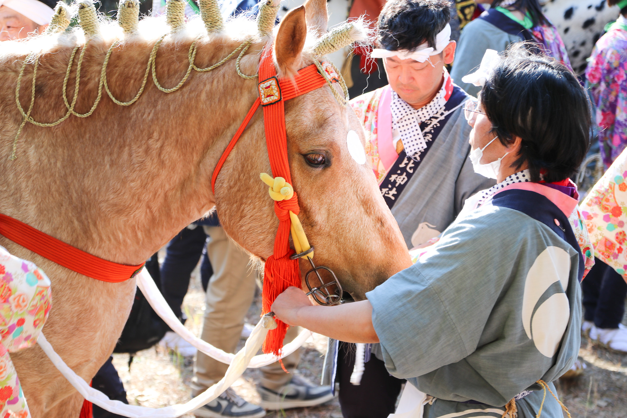 出雲伊波比神社の流鏑馬