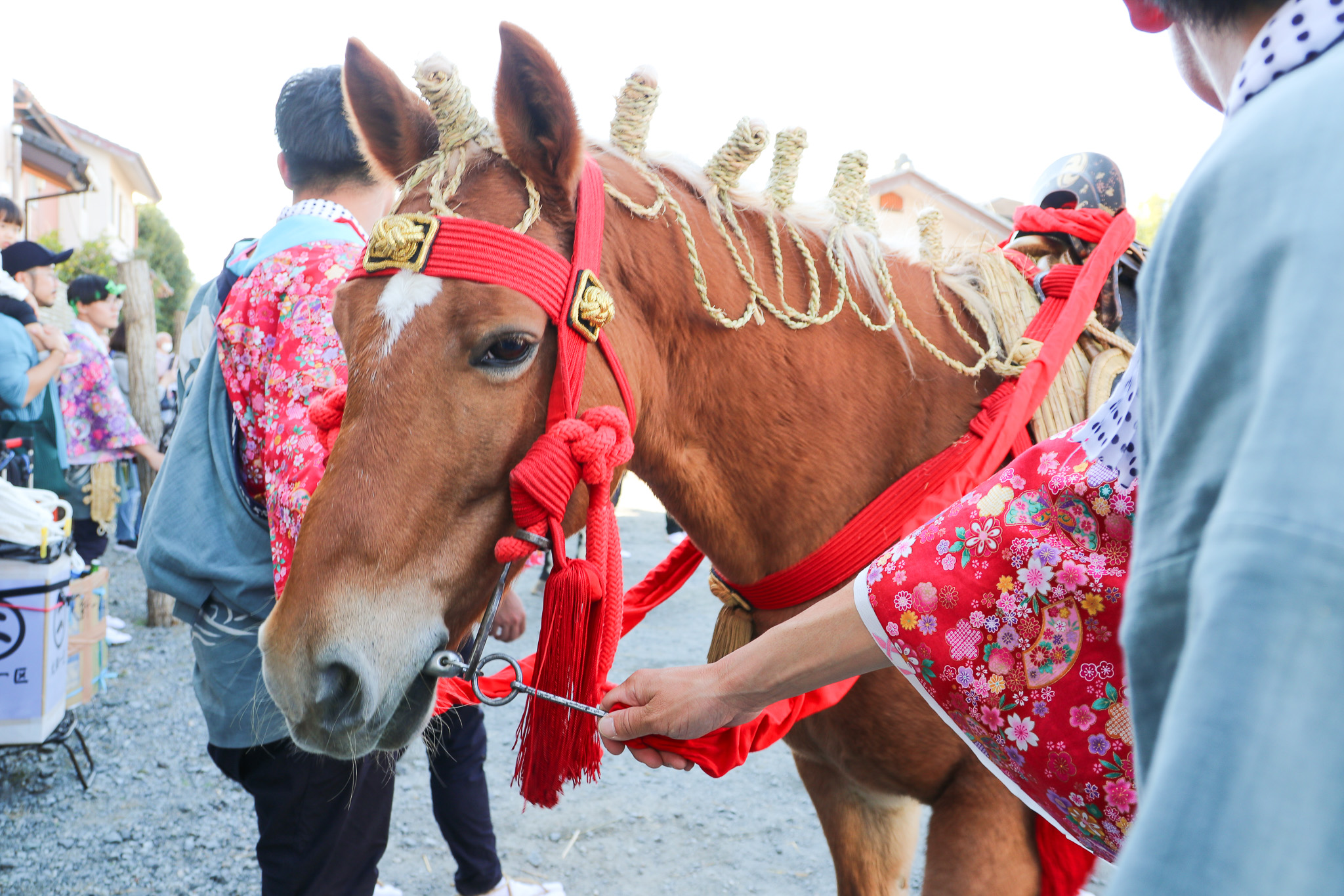 出雲伊波比神社の流鏑馬